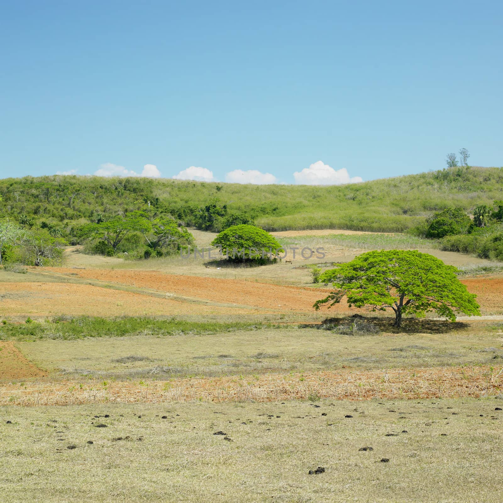 Pinar del Rio Province, Cuba by phbcz