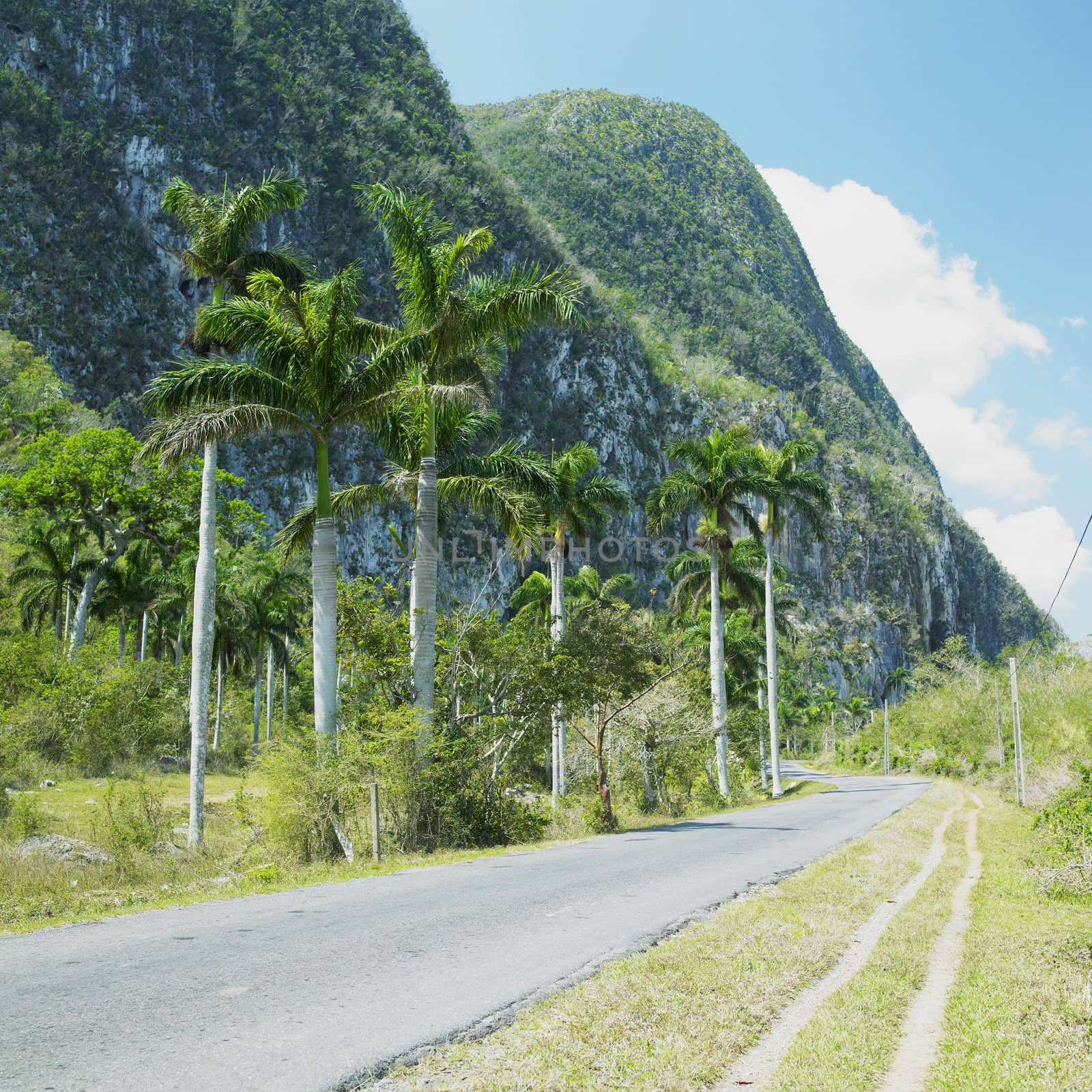 Vinales Valley, Pinar del Rio Province, Cuba by phbcz