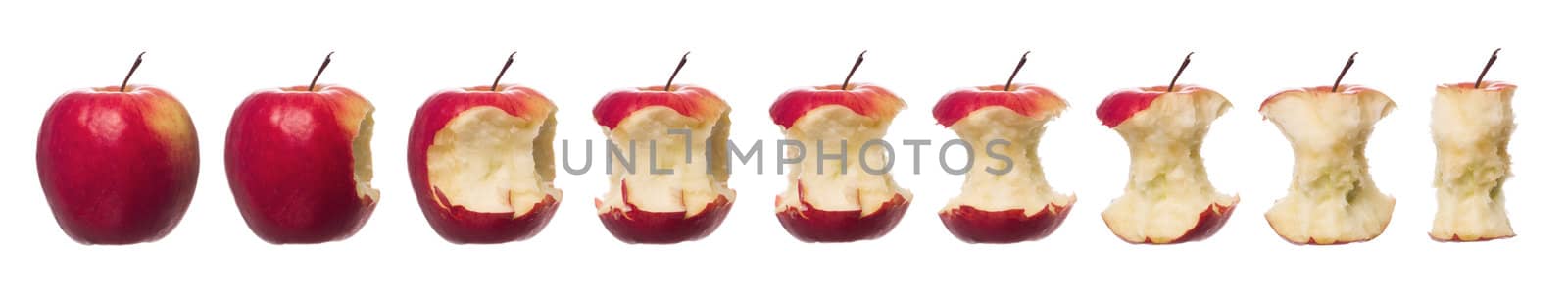 Red apples in progress towards white background