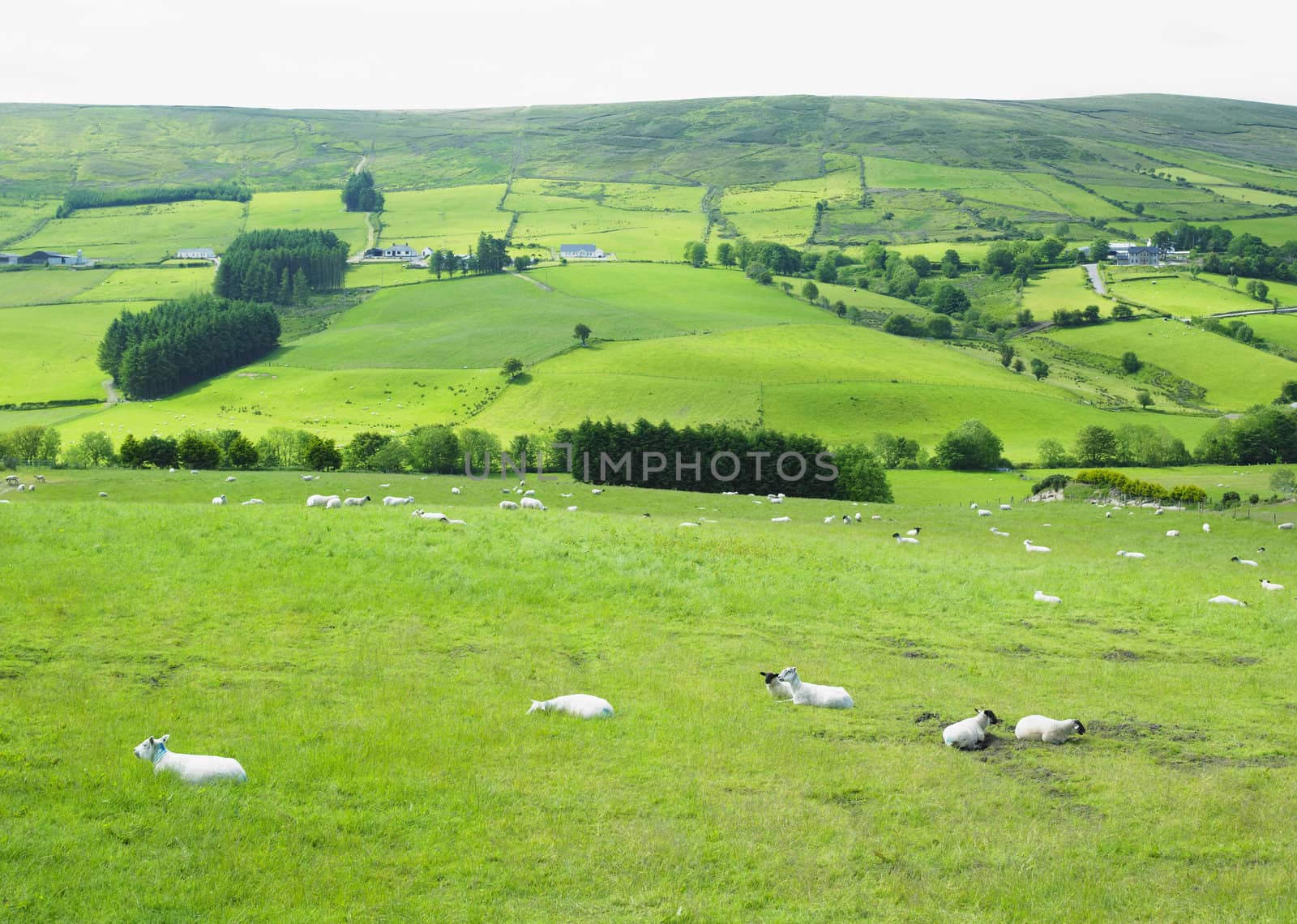Sperrin Mountains, County Tyrone, Northern Ireland