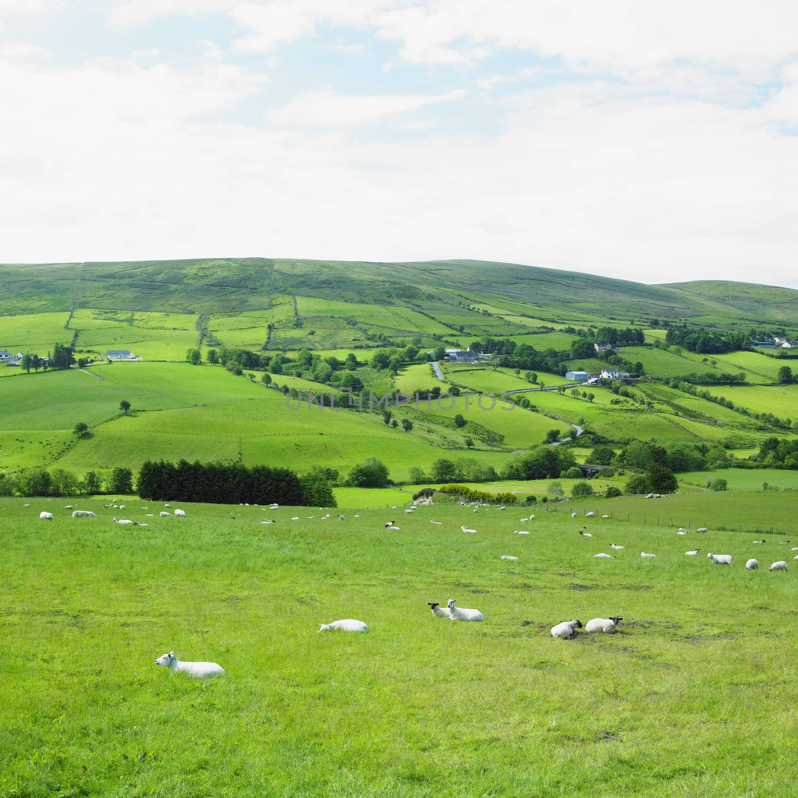 Sperrin Mountains, County Tyrone, Northern Ireland by phbcz