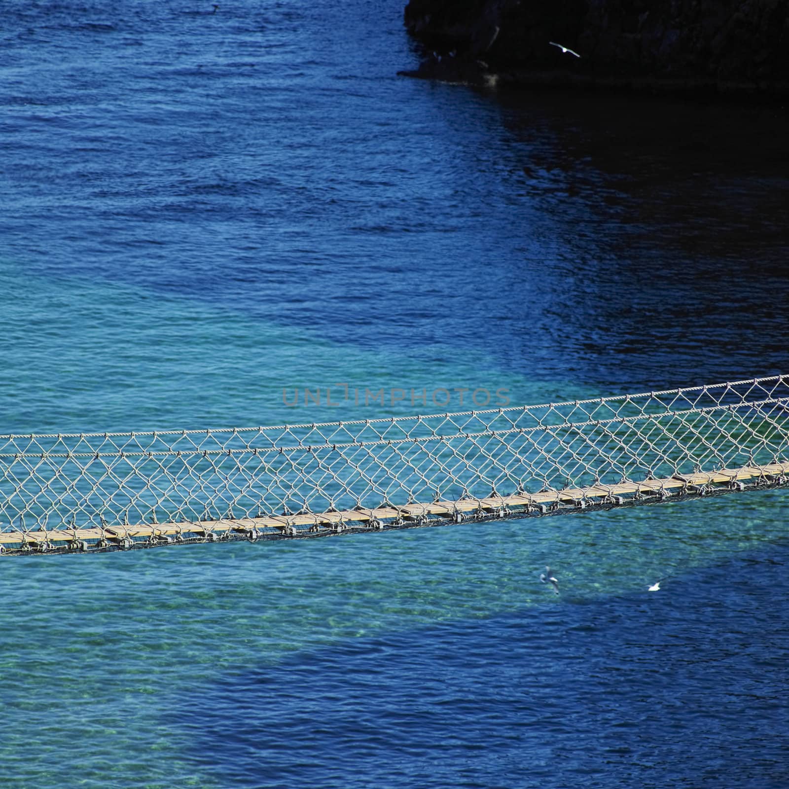 Carrick-a-rede Rope Bridge, County Antrim, Northern Ireland