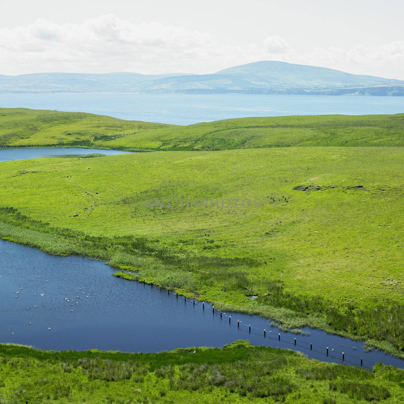 Rathlin Island, County Antrim, Northern Ireland