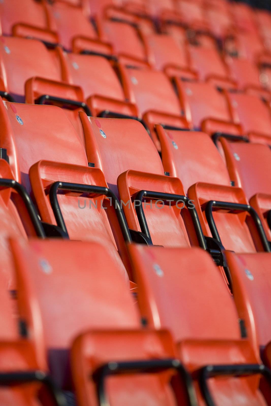 Seats on an arena
