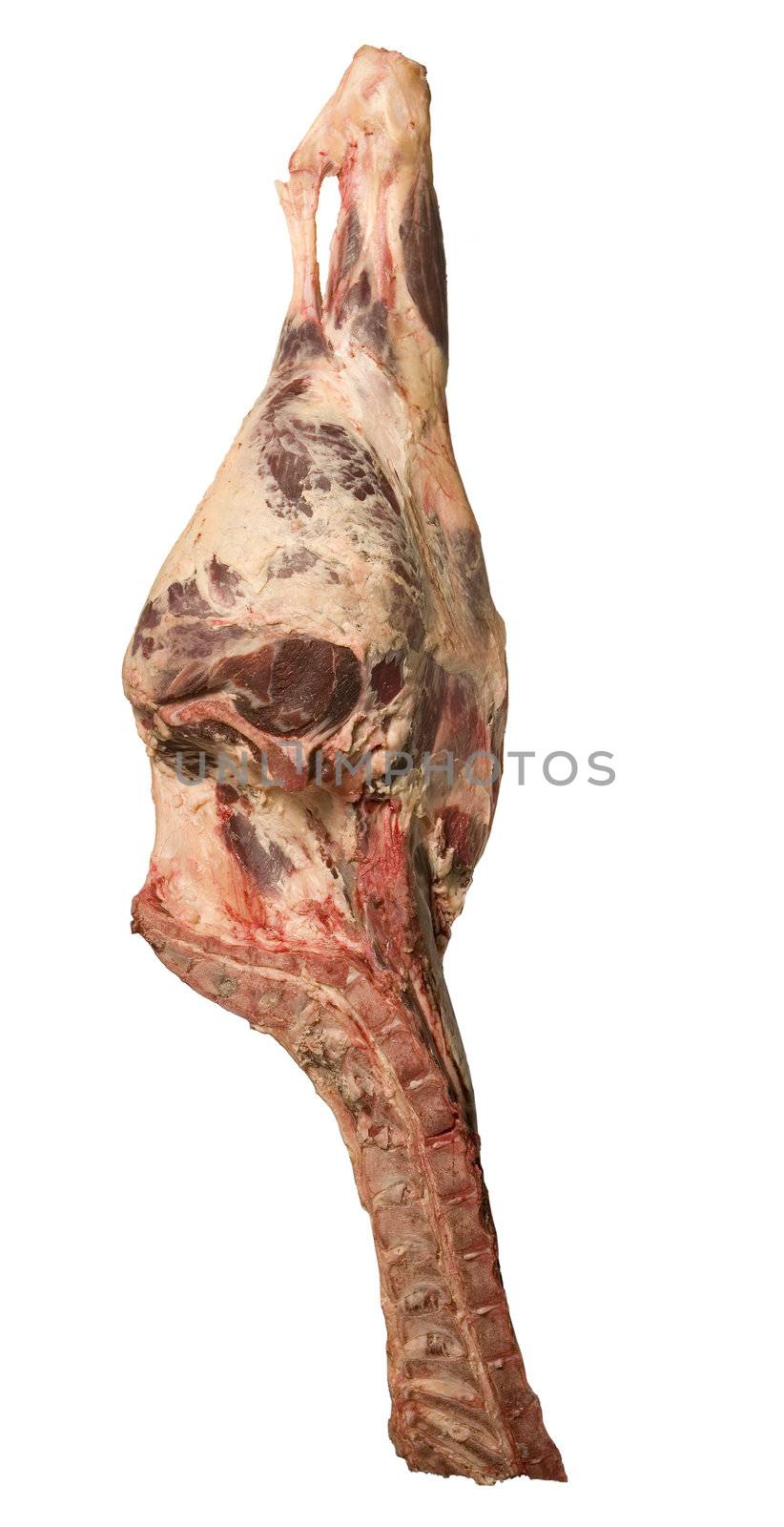 Meat towards white background