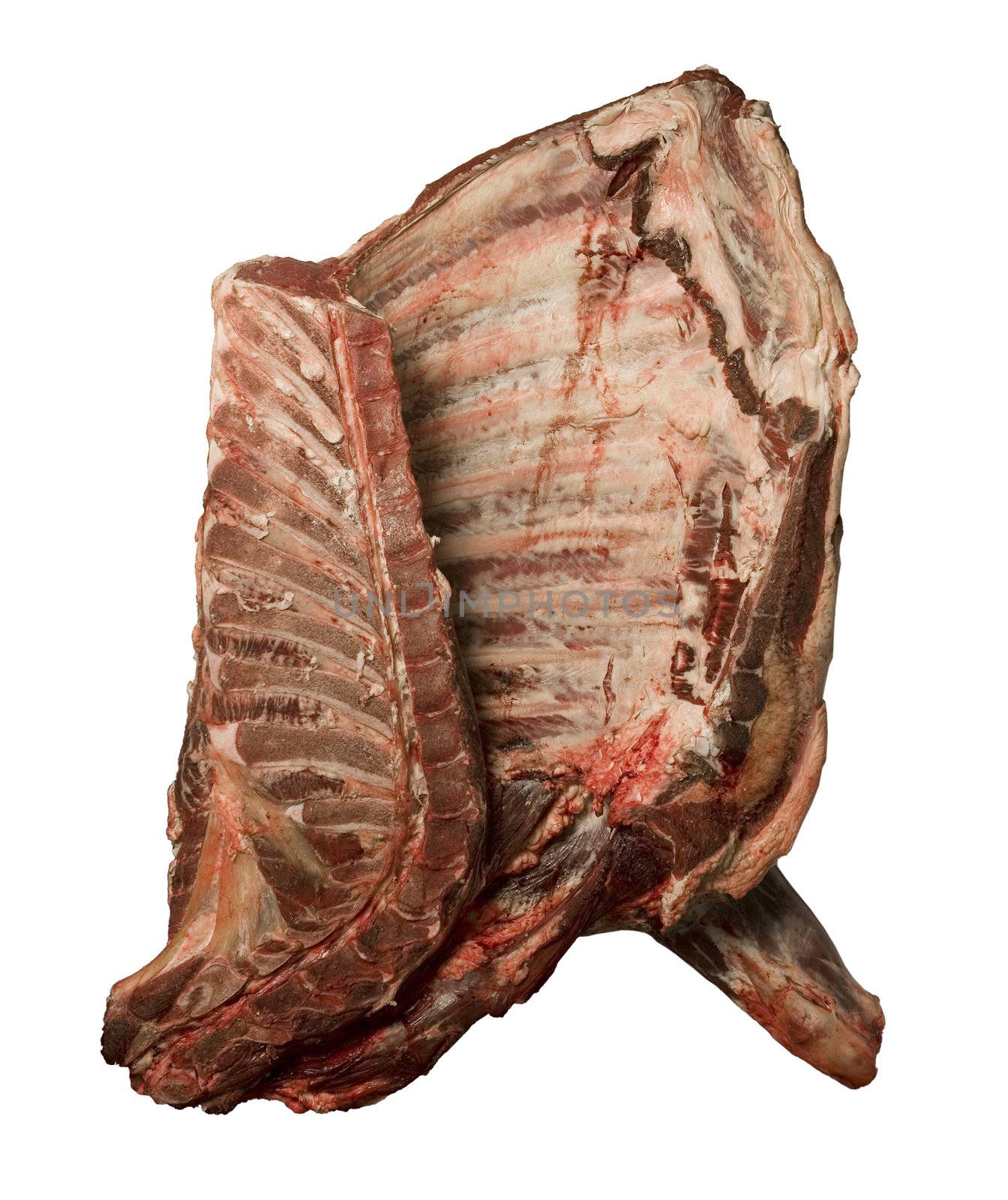 Meat towards white background