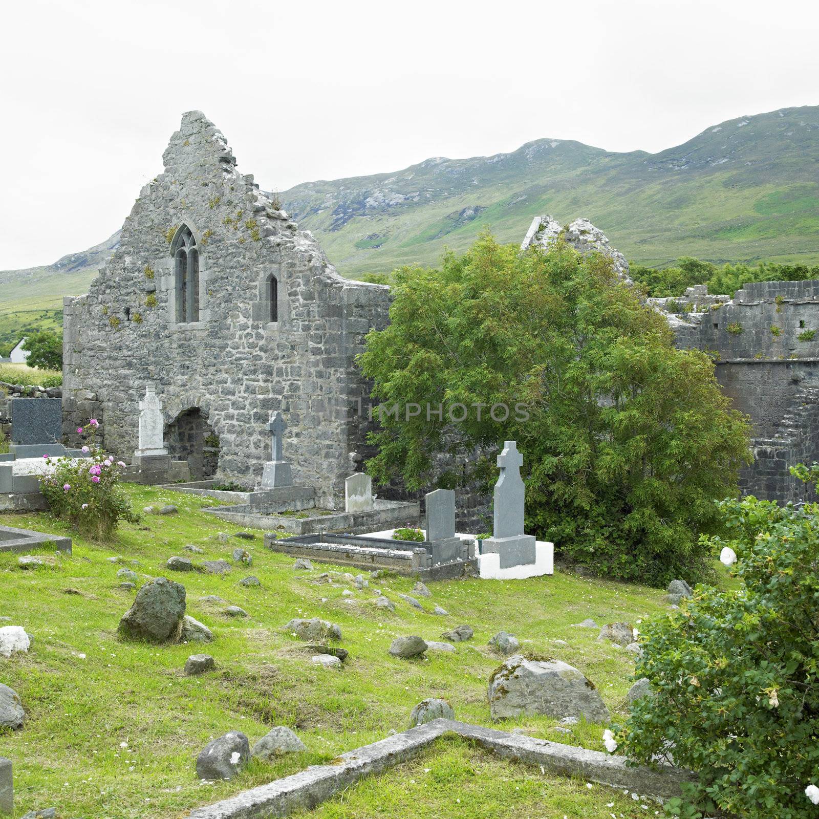 ruins of Murrisk Abbey, County Mayo, Ireland by phbcz