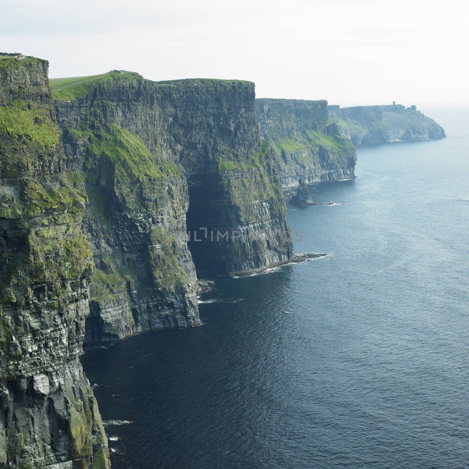 Cliffs of Moher, Burren, County Clare, Ireland by phbcz