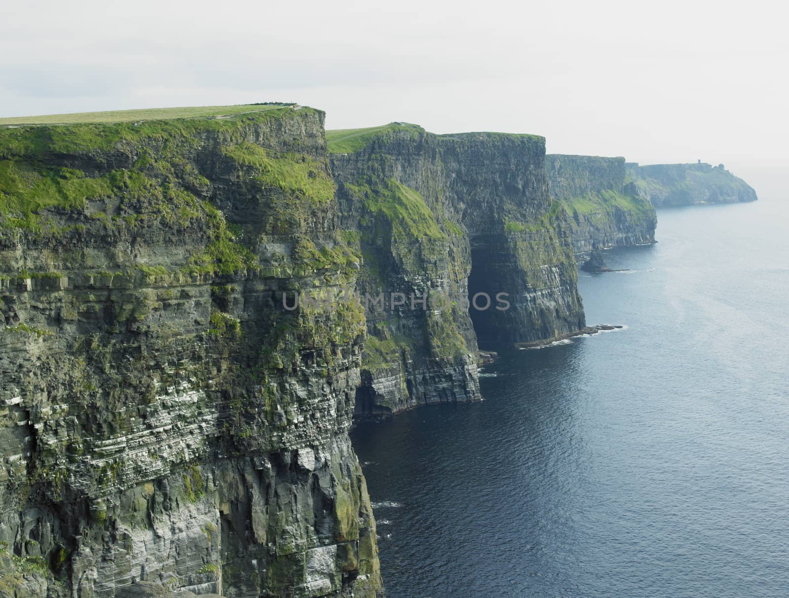 Cliffs of Moher, Burren, County Clare, Ireland