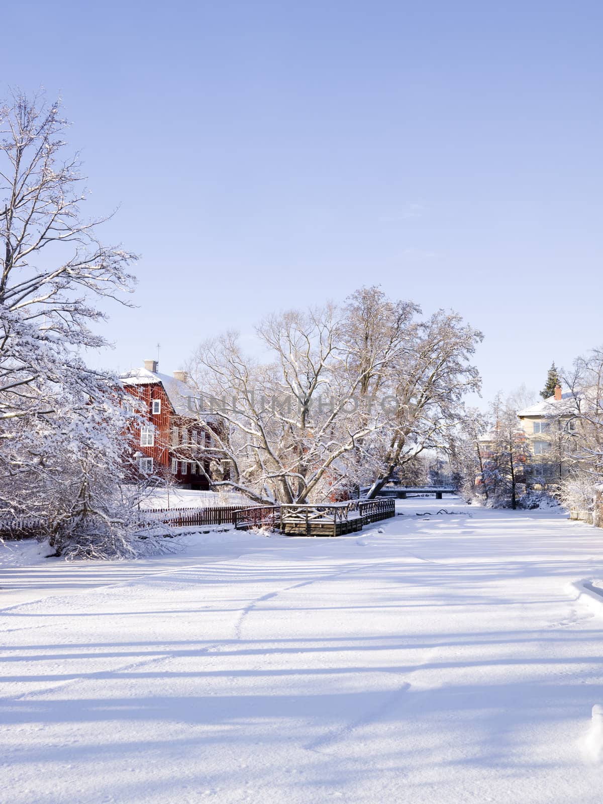 Winter field