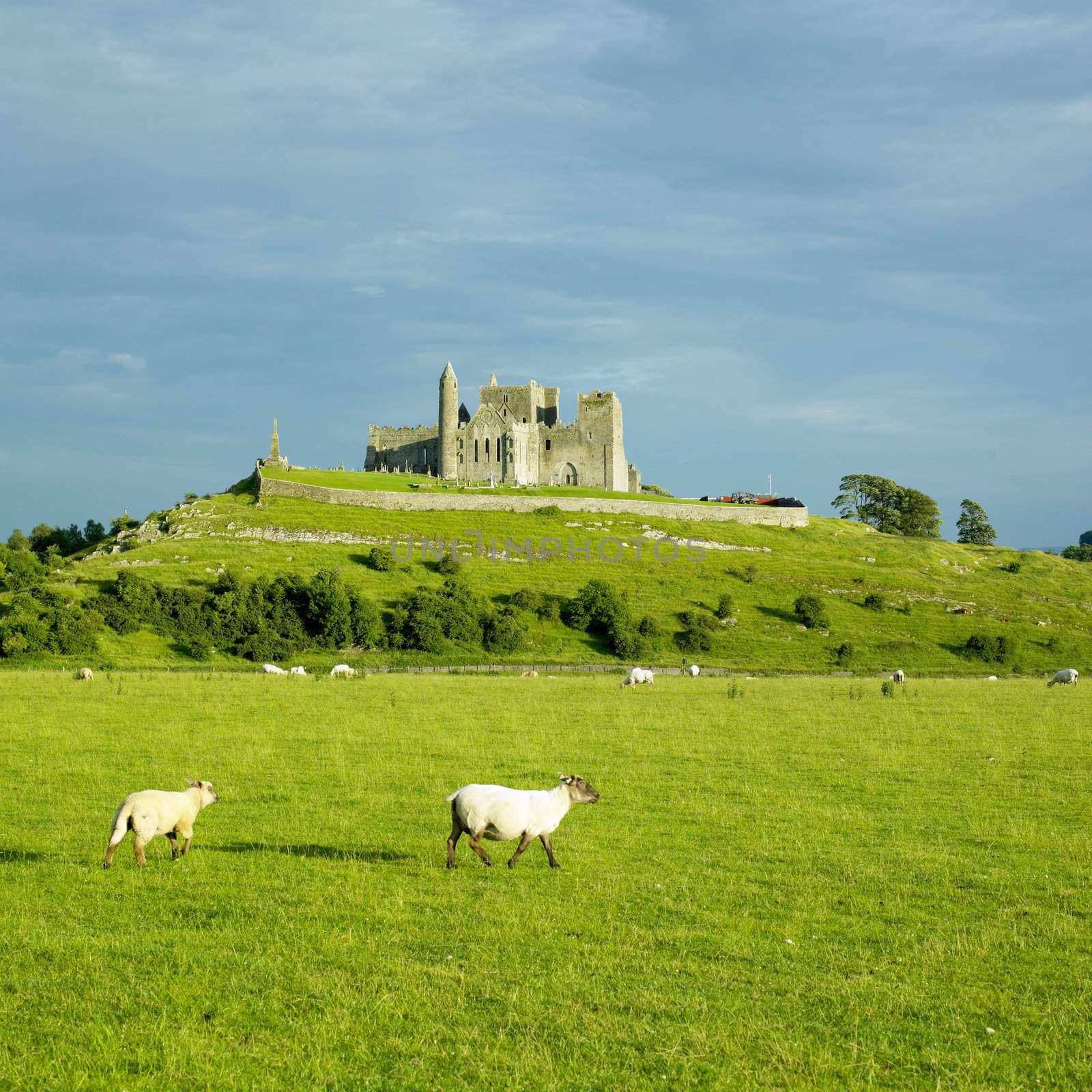 Rock of Cashel, County Tipperary, Ireland by phbcz