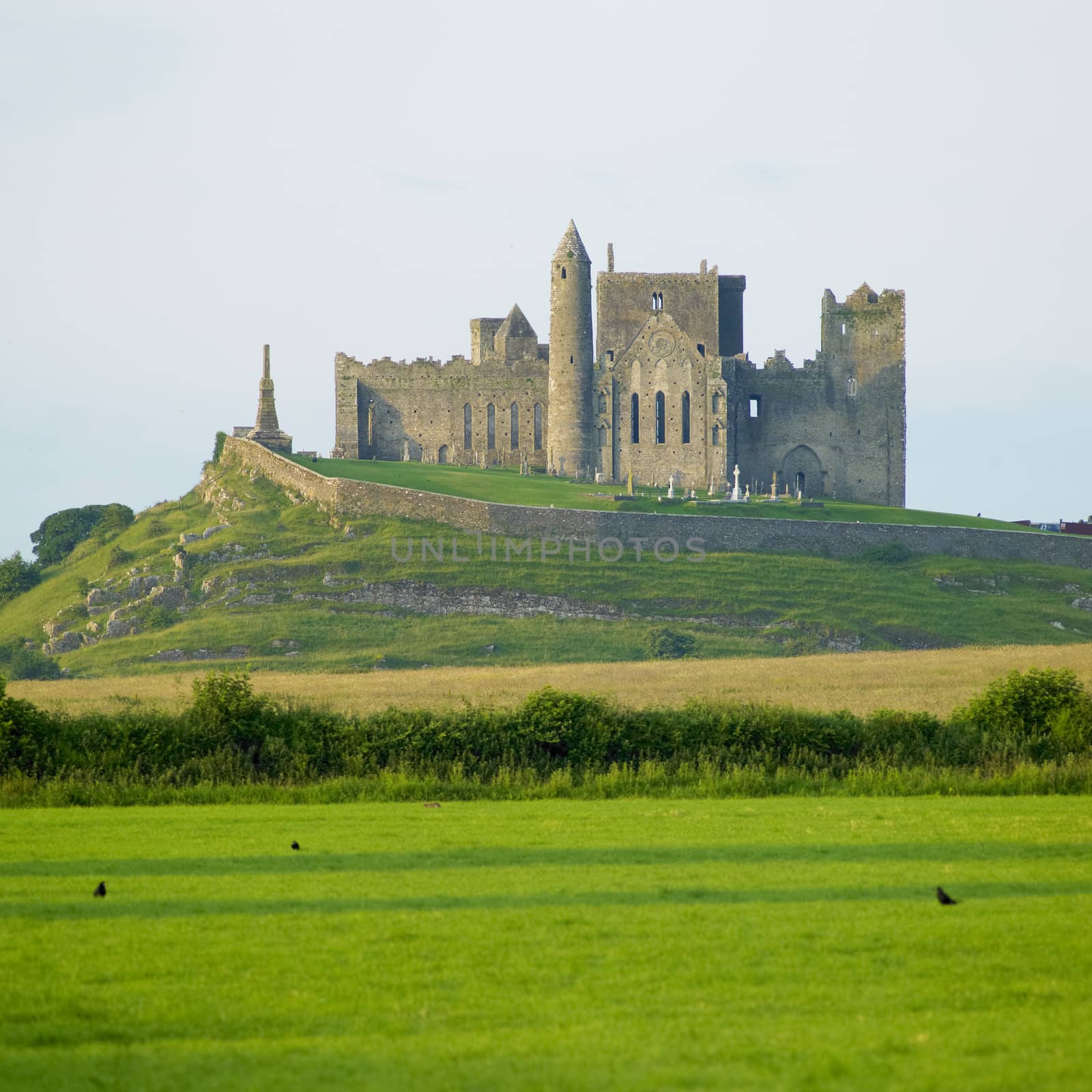 Rock of Cashel, County Tipperary, Ireland by phbcz