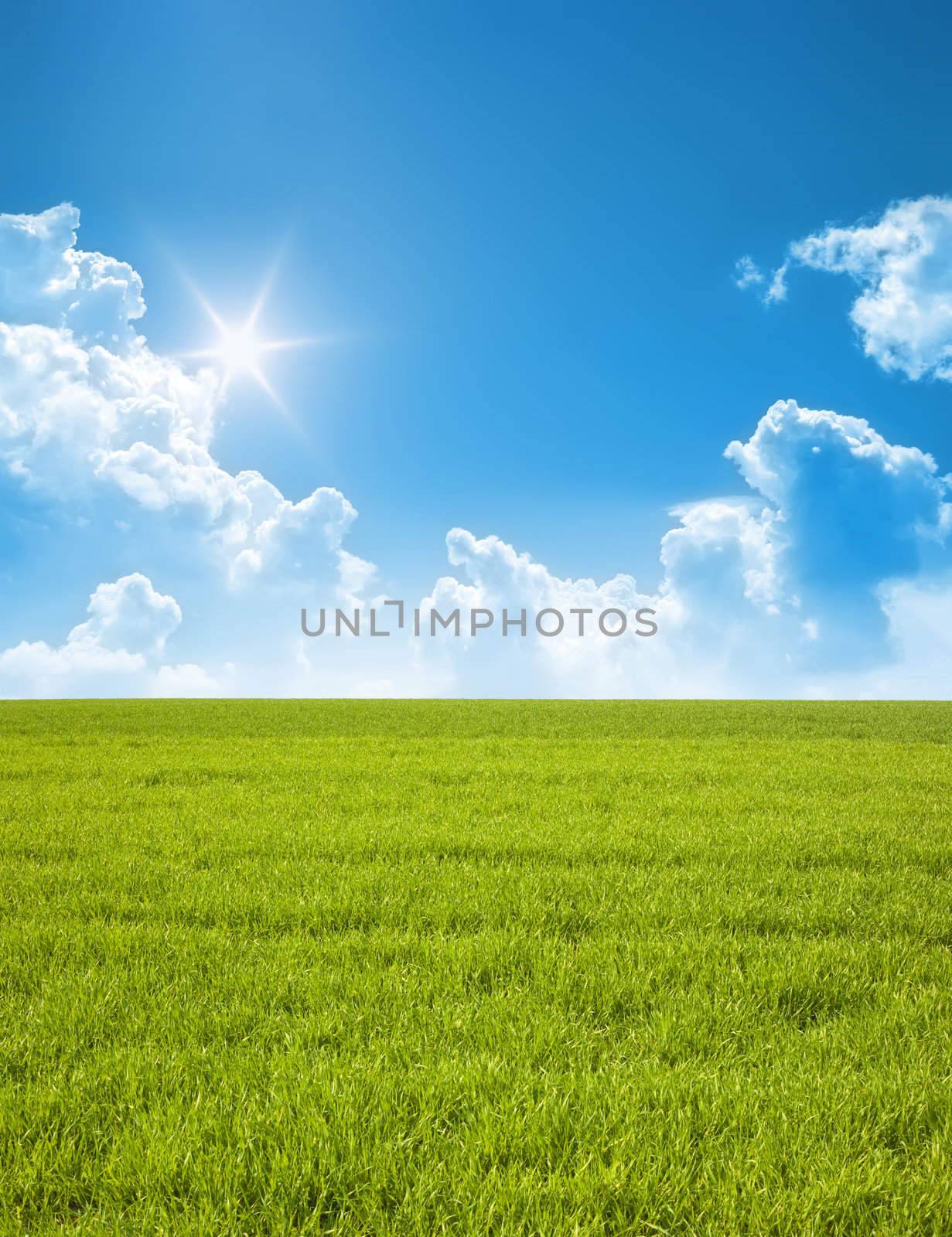 A photography of a blue sky and a green field