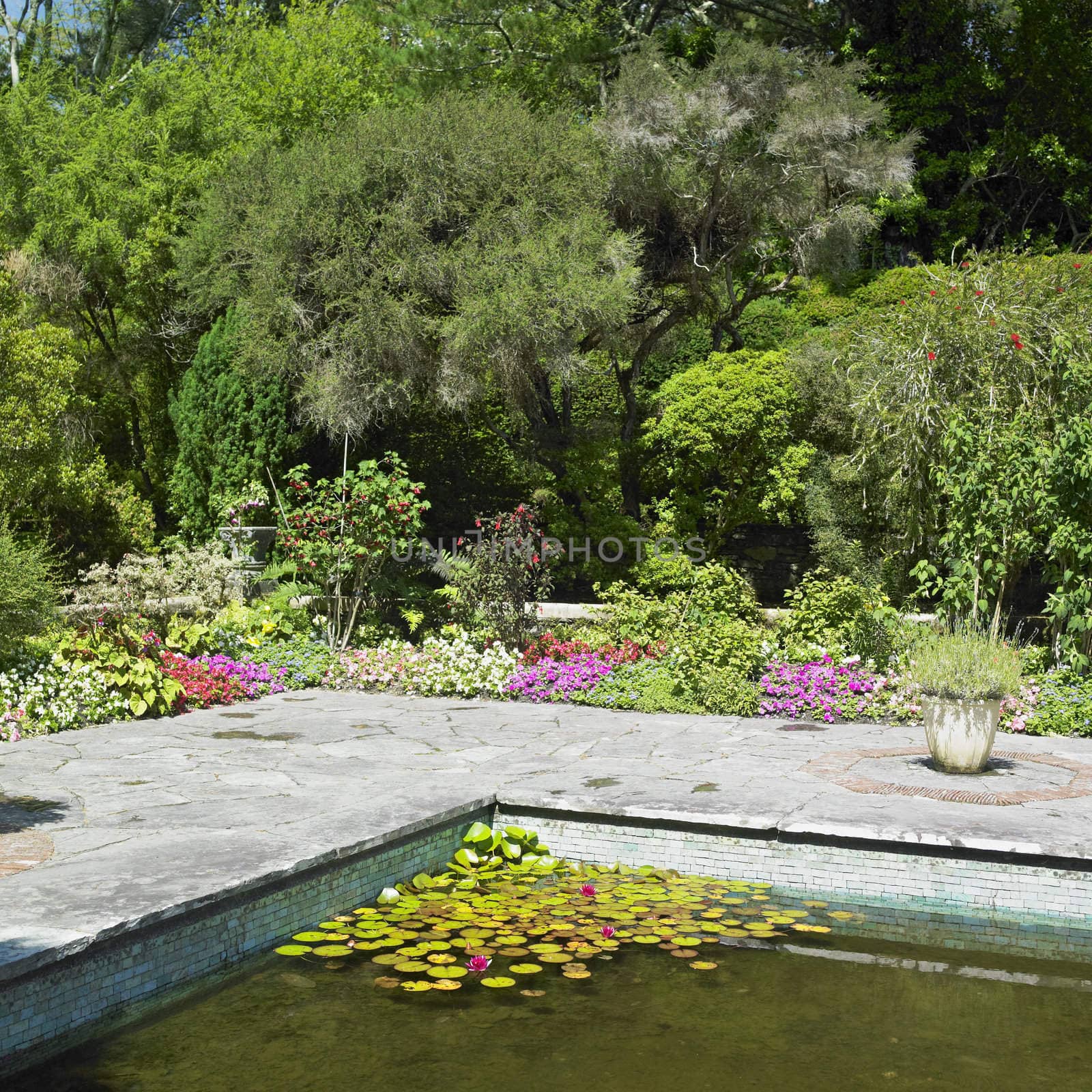 Itallian Garden, Garinish Island (Ilnacullin), County Cork, Ireland