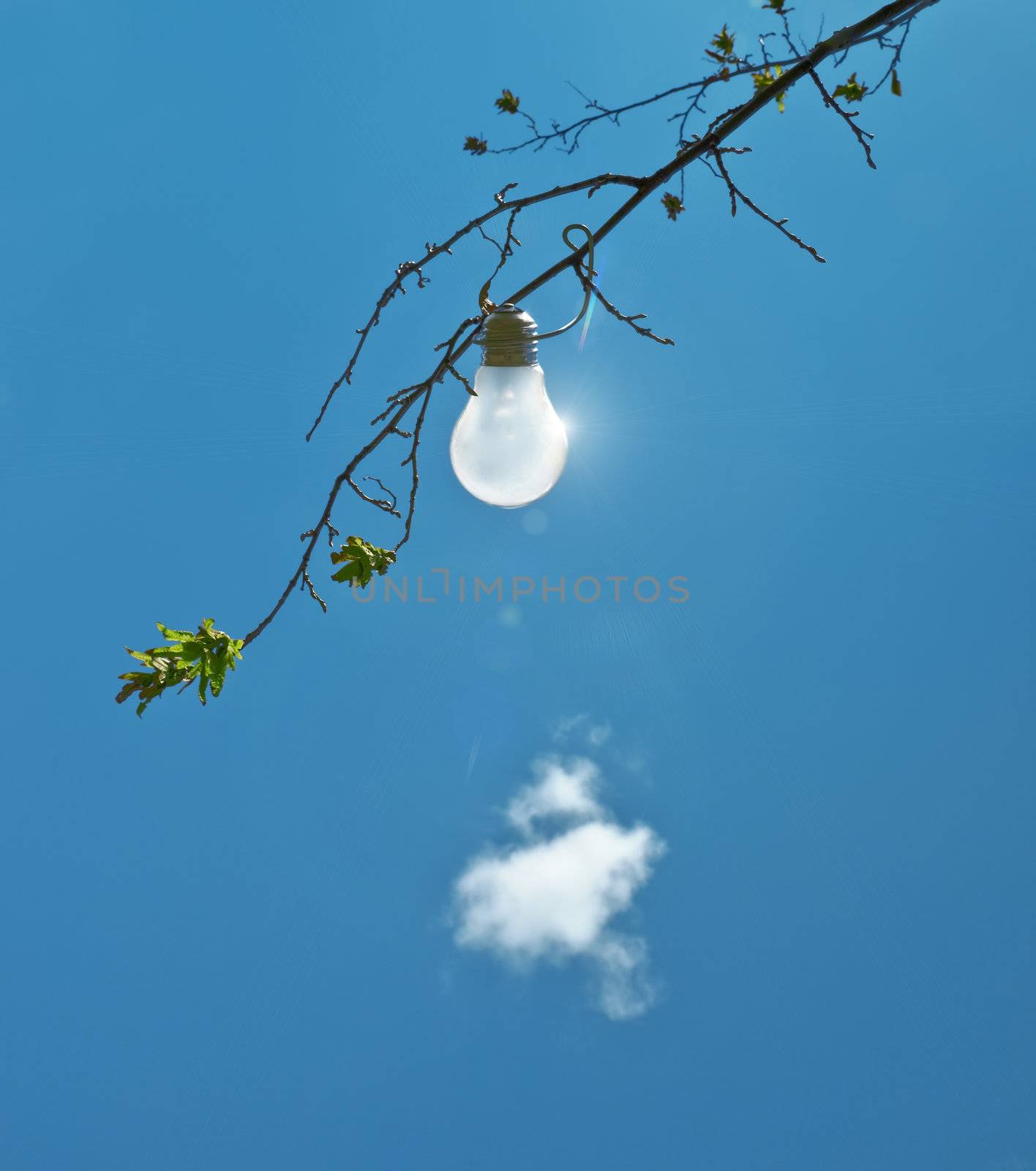 A photography of a light bulb in a tree