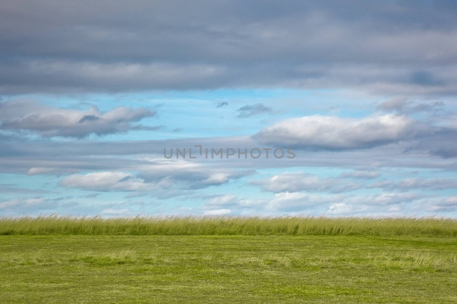 A photography of a nice weather background landscape
