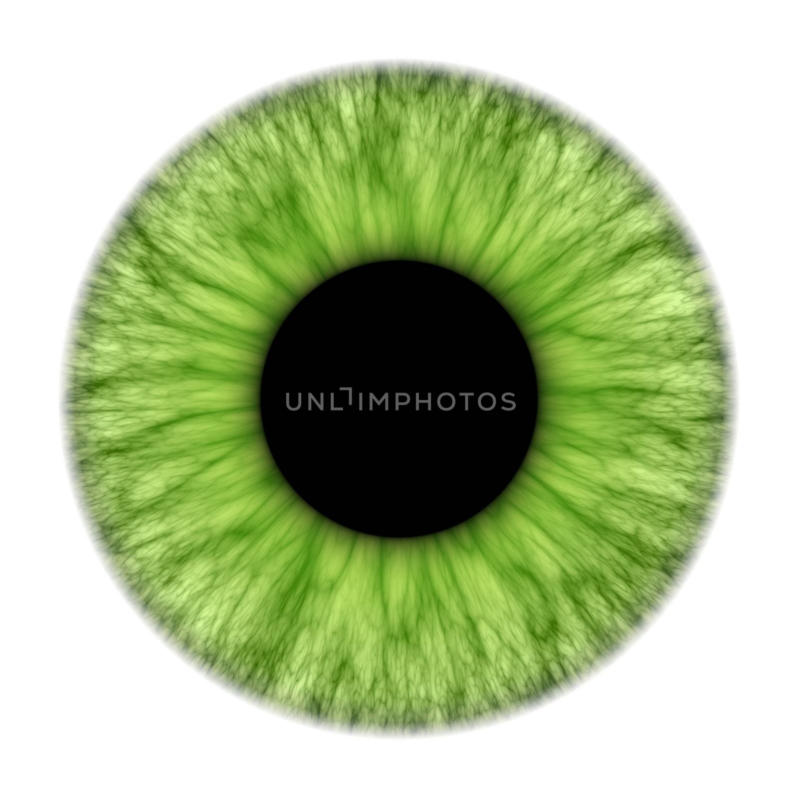 An illustration of a nice green iris texture