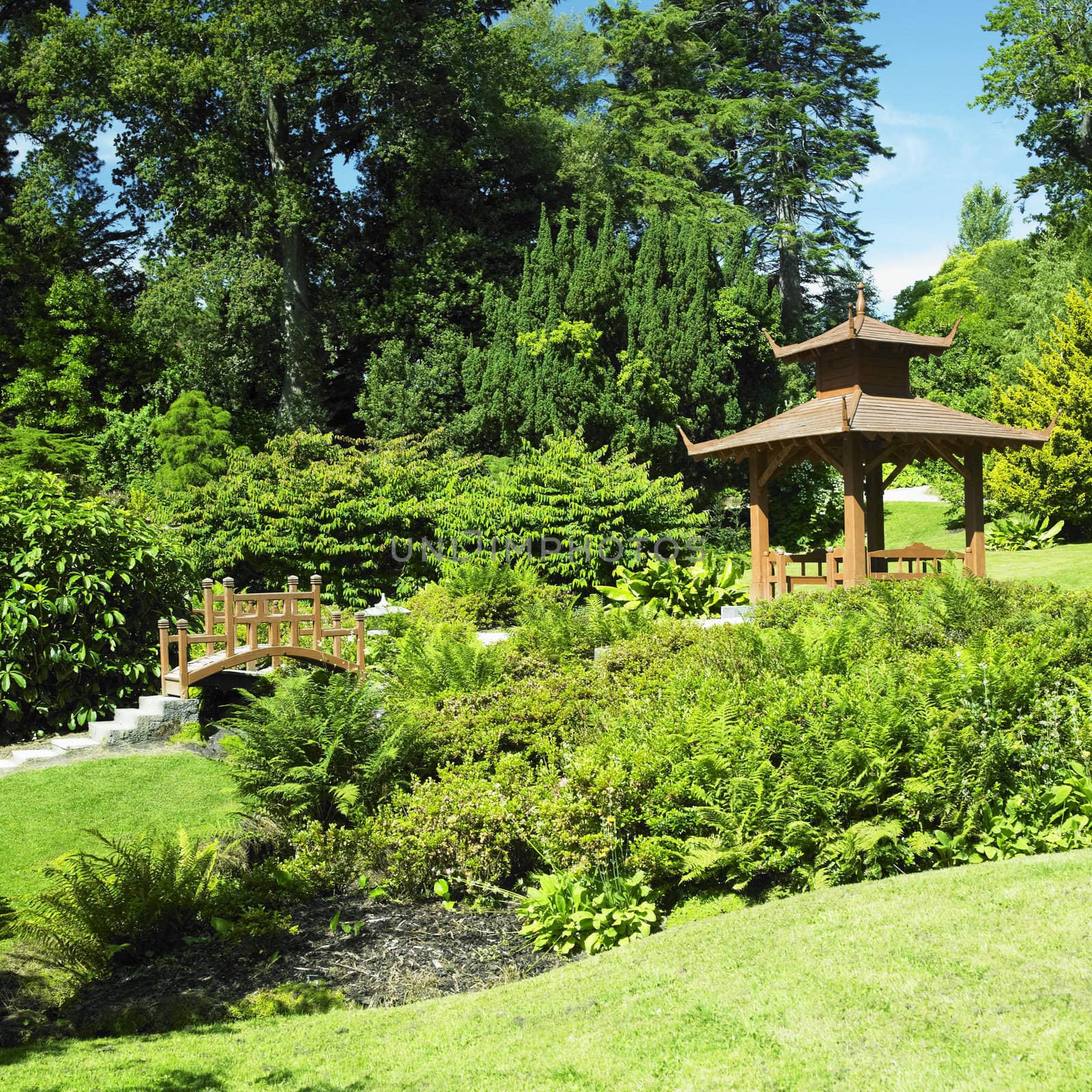 Japanese Garden, Powerscourt Gardens, County Wicklow, Ireland