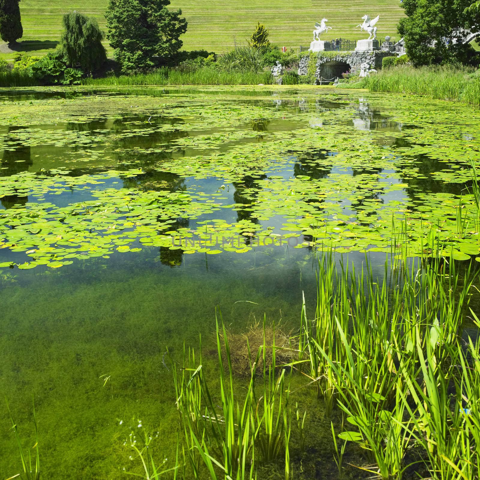 Powerscourt Gardens, County Wicklow, Ireland