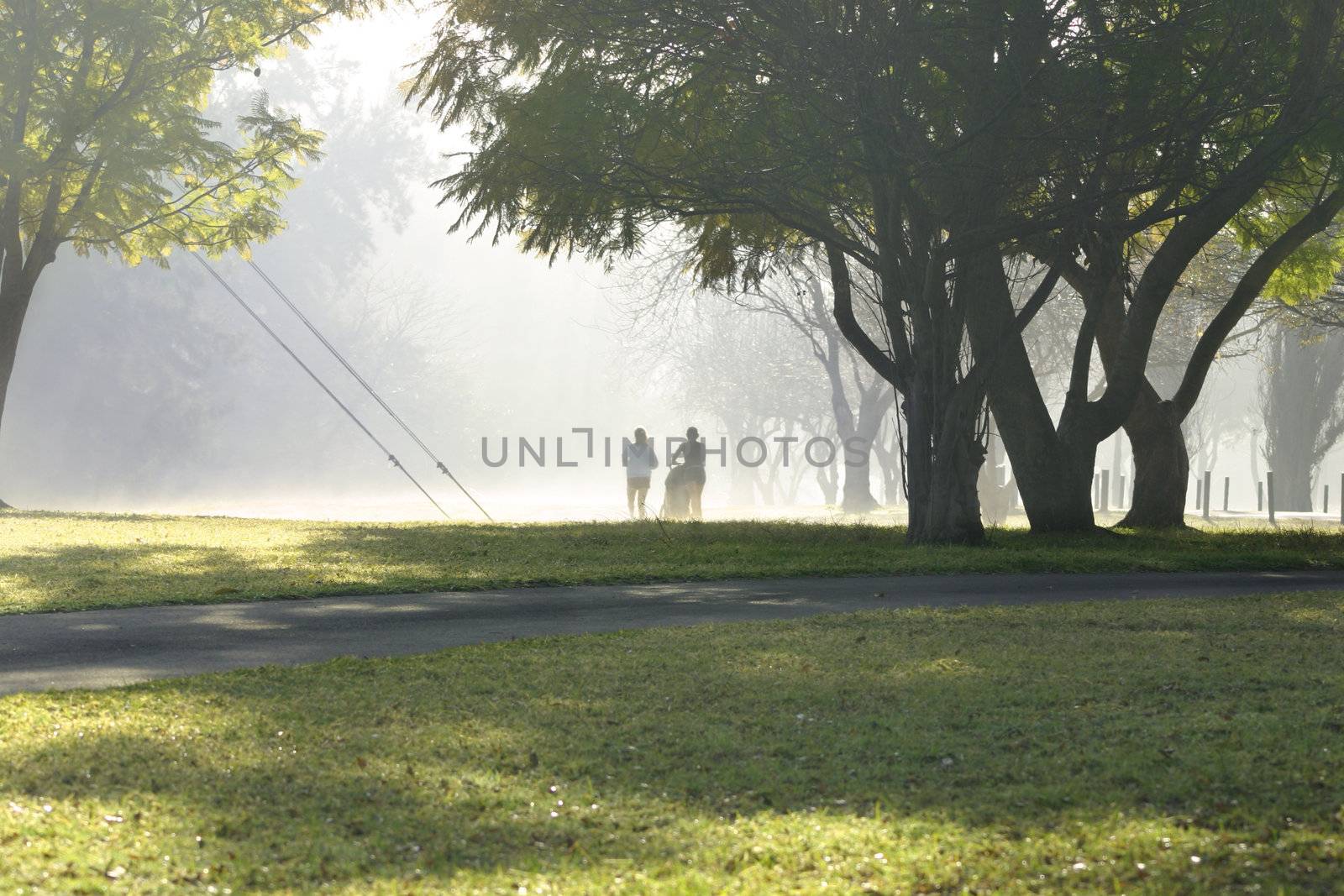 Two runners in the park on a misty morning