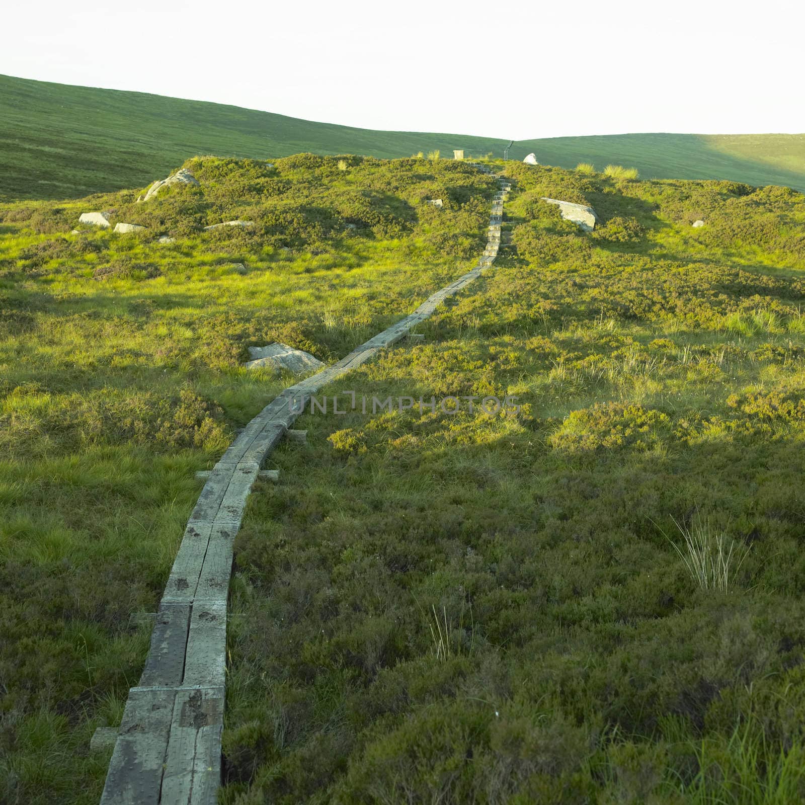 Wicklow Gap, County Wicklow, Ireland