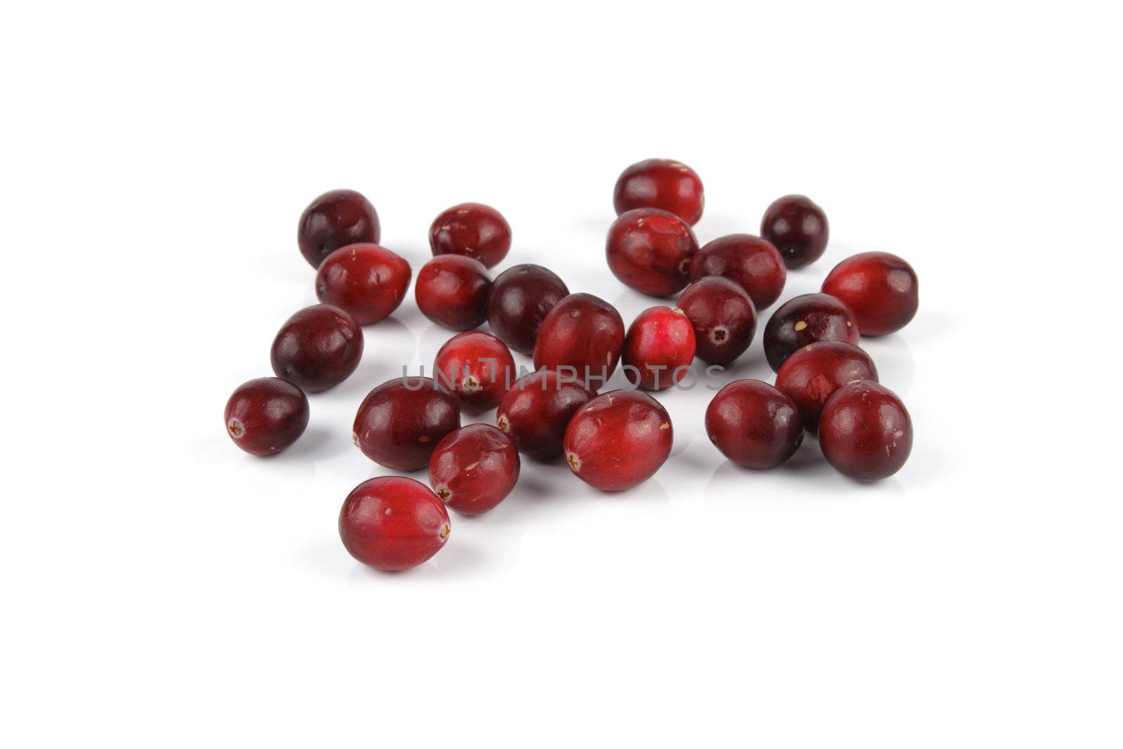 Red ripe juicy cranberries on a reflective white background