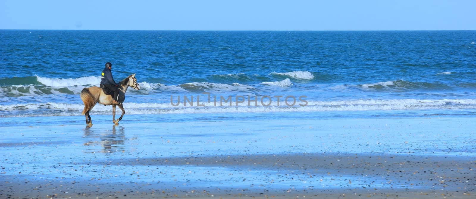 Horse rider on a beach