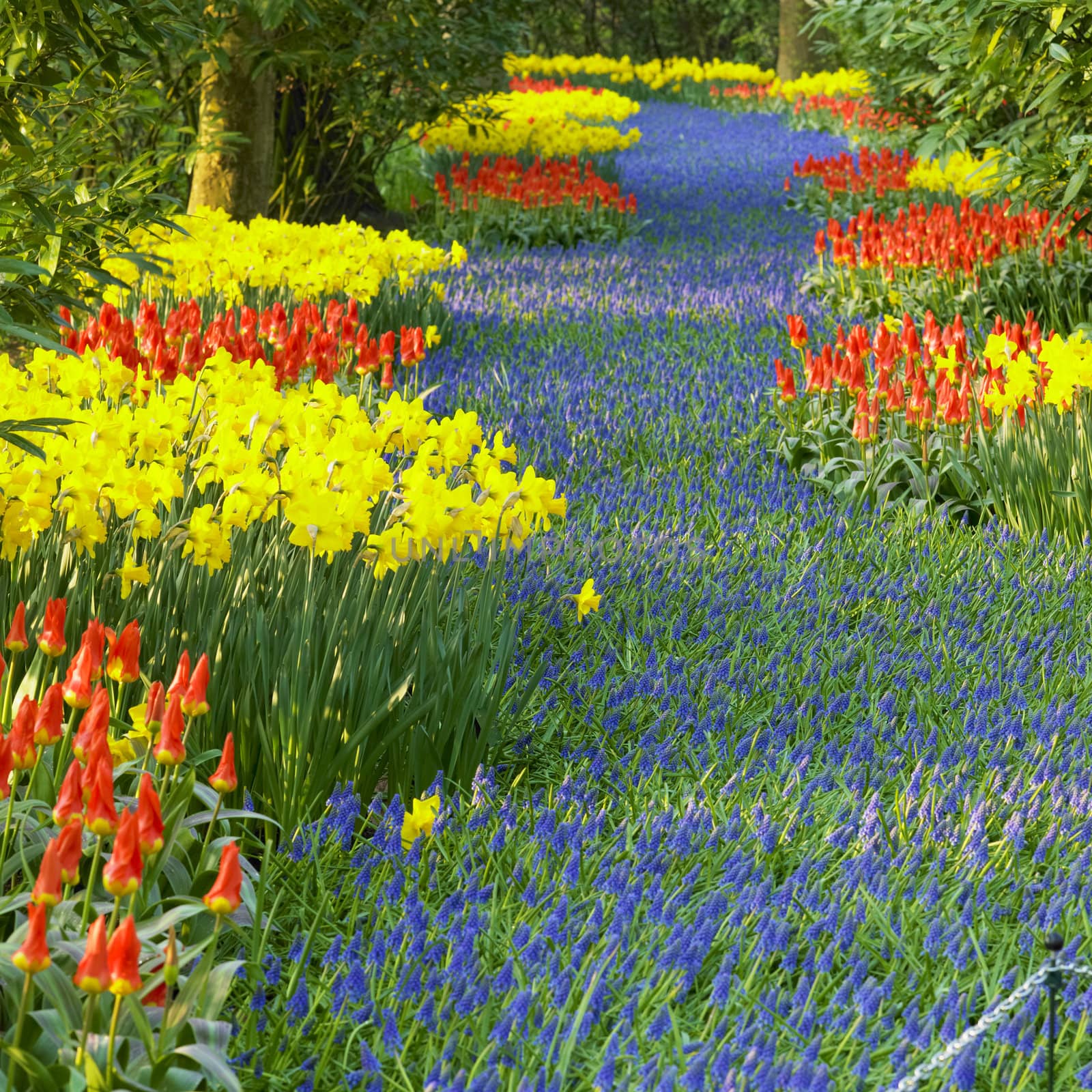 Keukenhof Gardens, Lisse, Netherlands