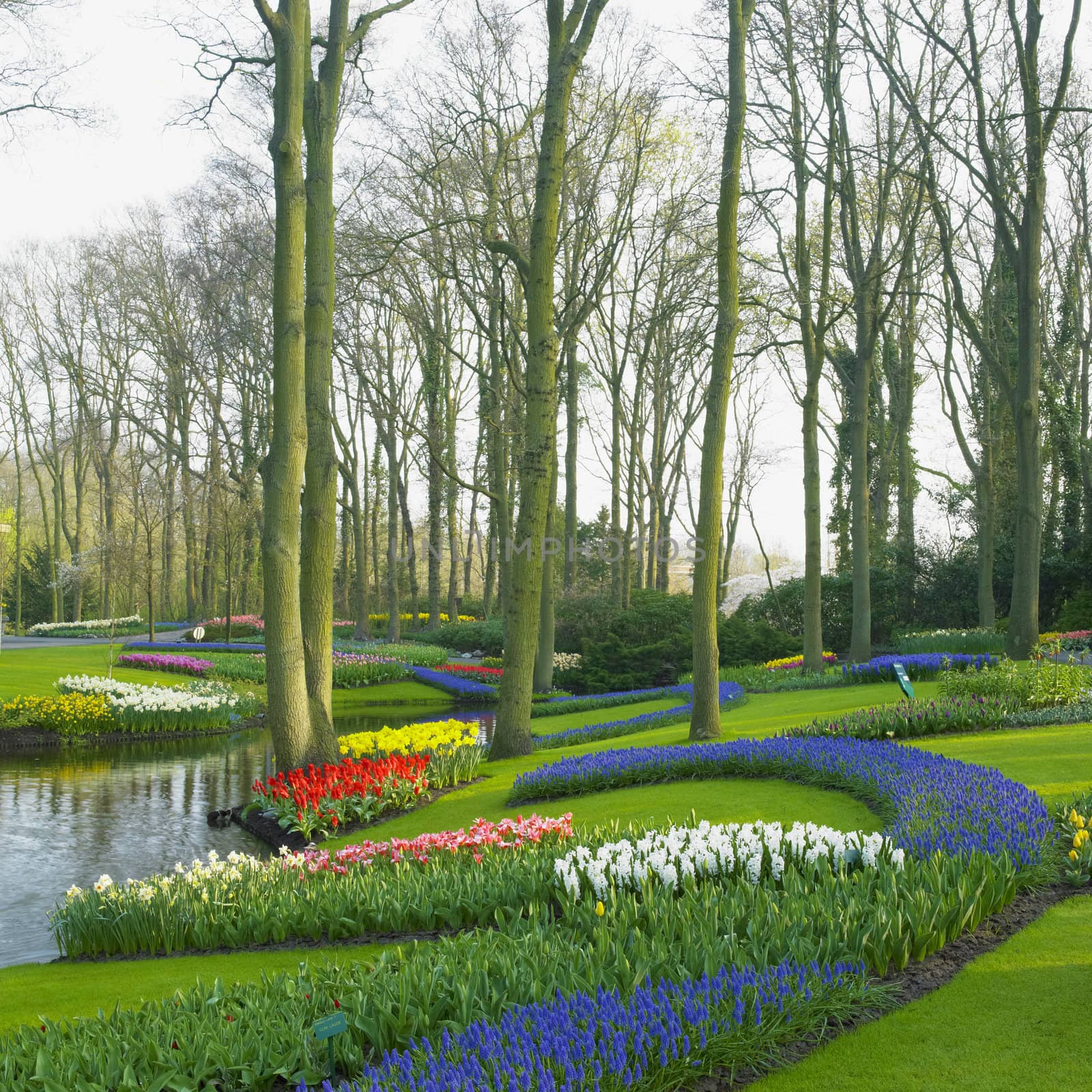 Keukenhof Gardens, Lisse, Netherlands