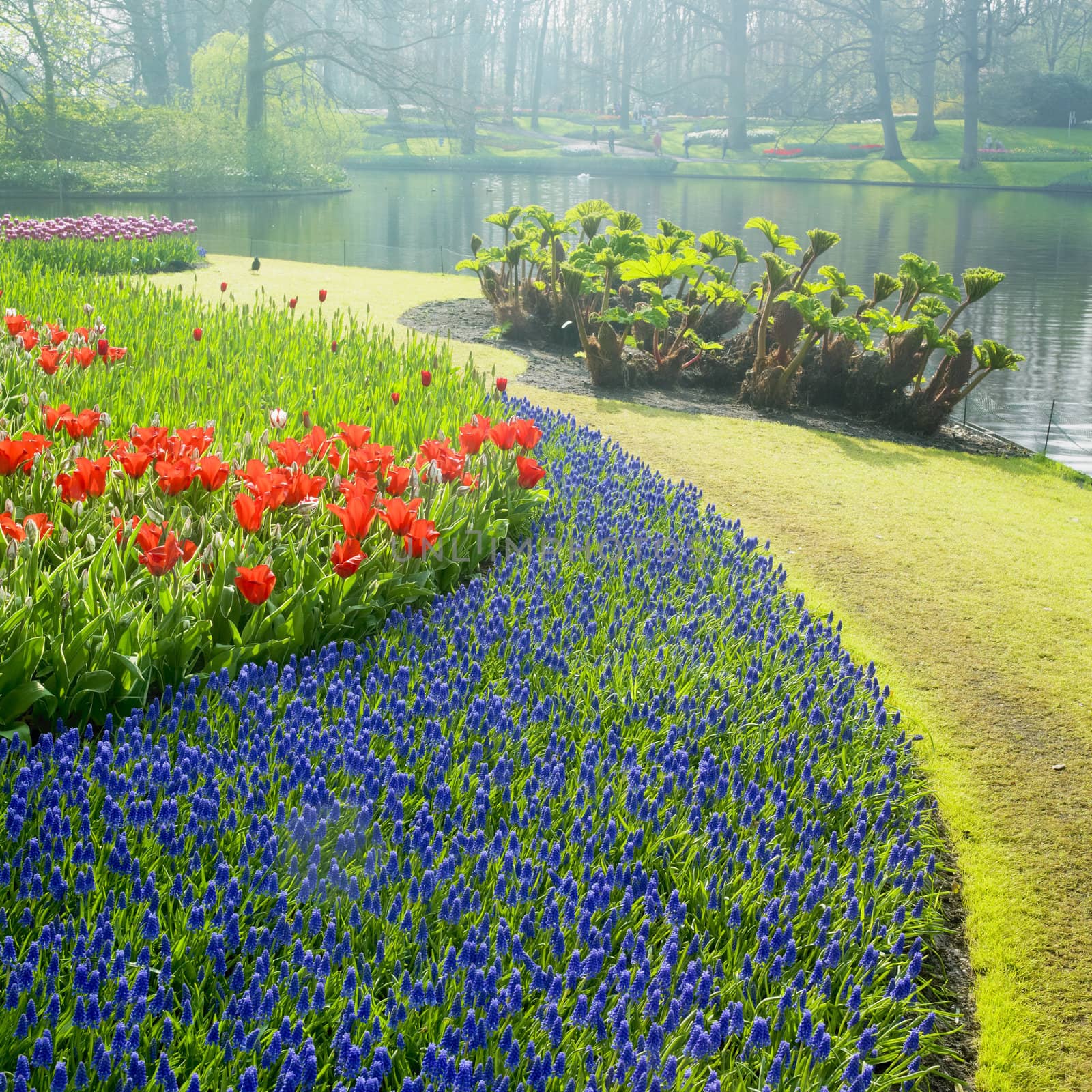 Keukenhof Gardens, Lisse, Netherlands