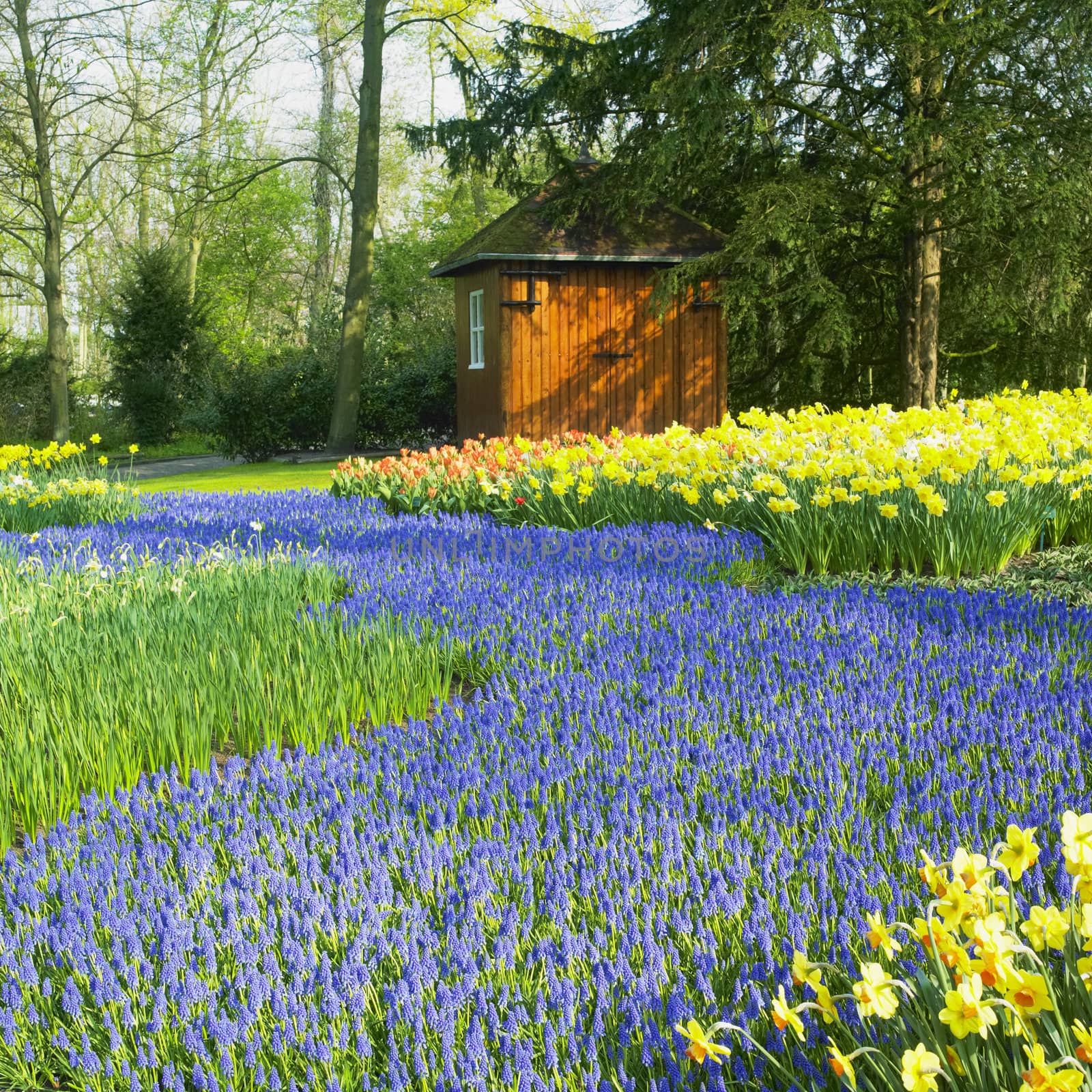 Keukenhof Gardens, Lisse, Netherlands