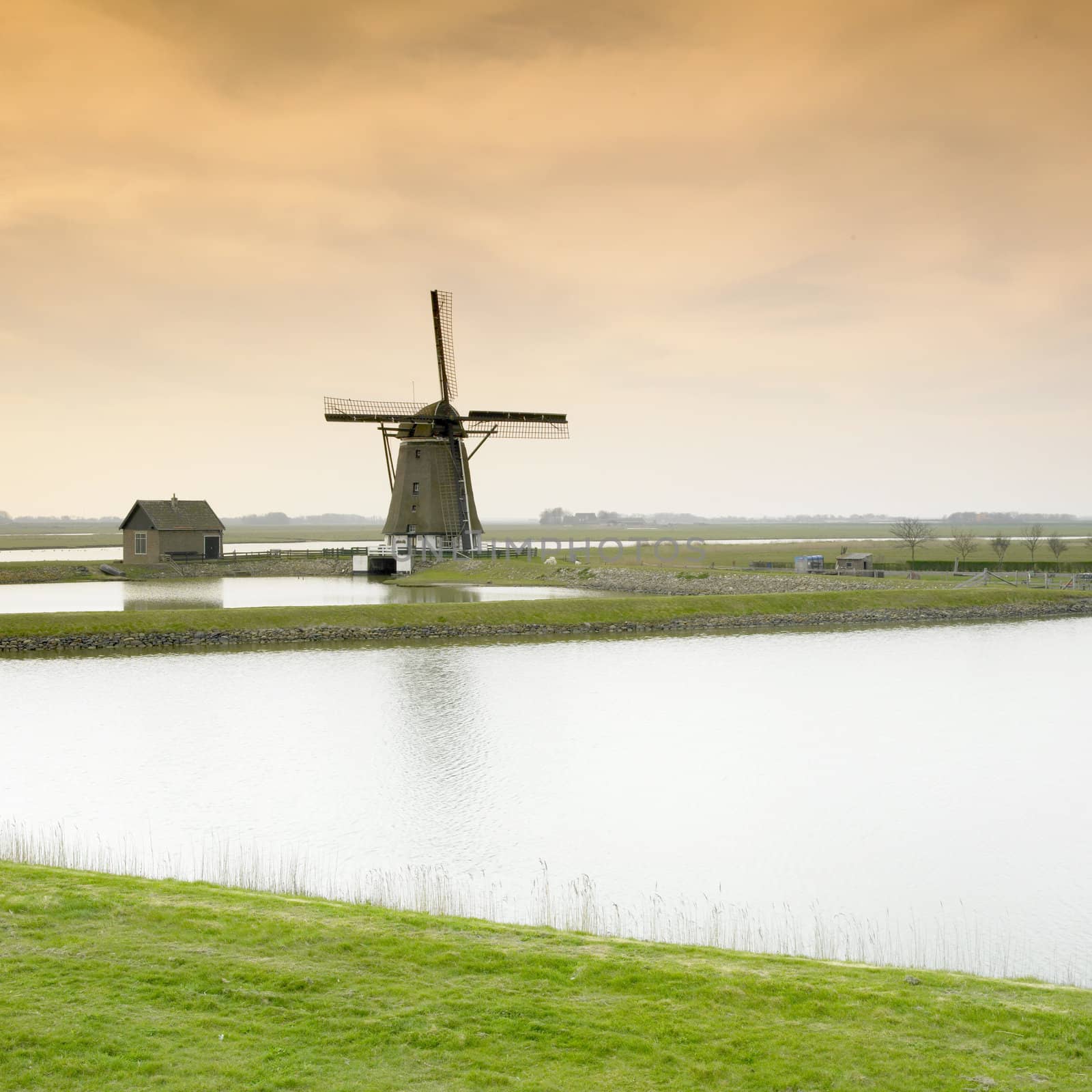 windmill, Texel Island, Netherlands