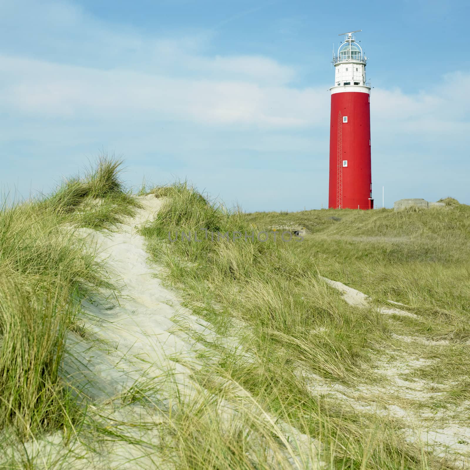 lighthouse, De Cocksdorp, Texel Island, Netherlands