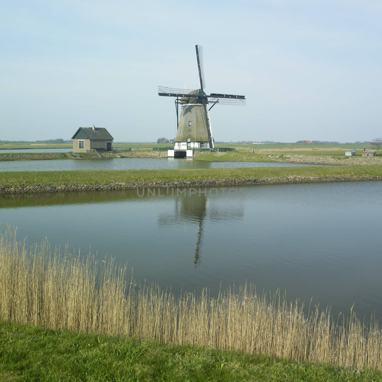 windmill, Texel Island, Netherlands