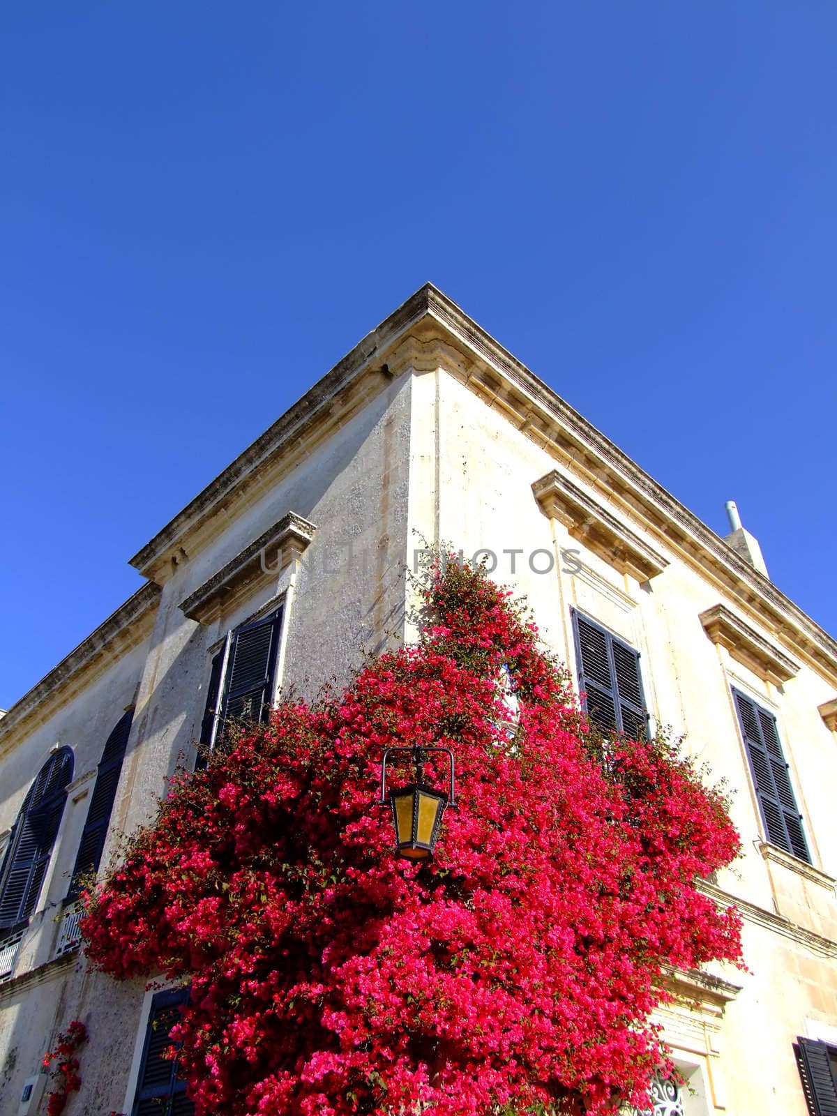 Typical limestone Mediterranean house facade with bouganvilla