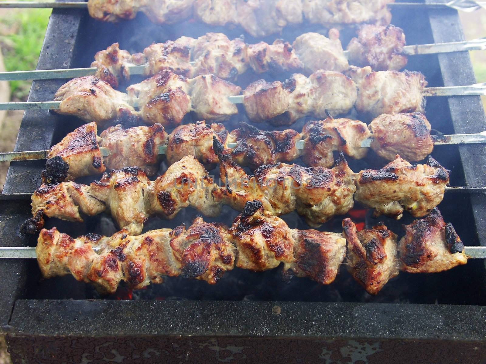 Appetizing shish kebab on the grill with metal skewers