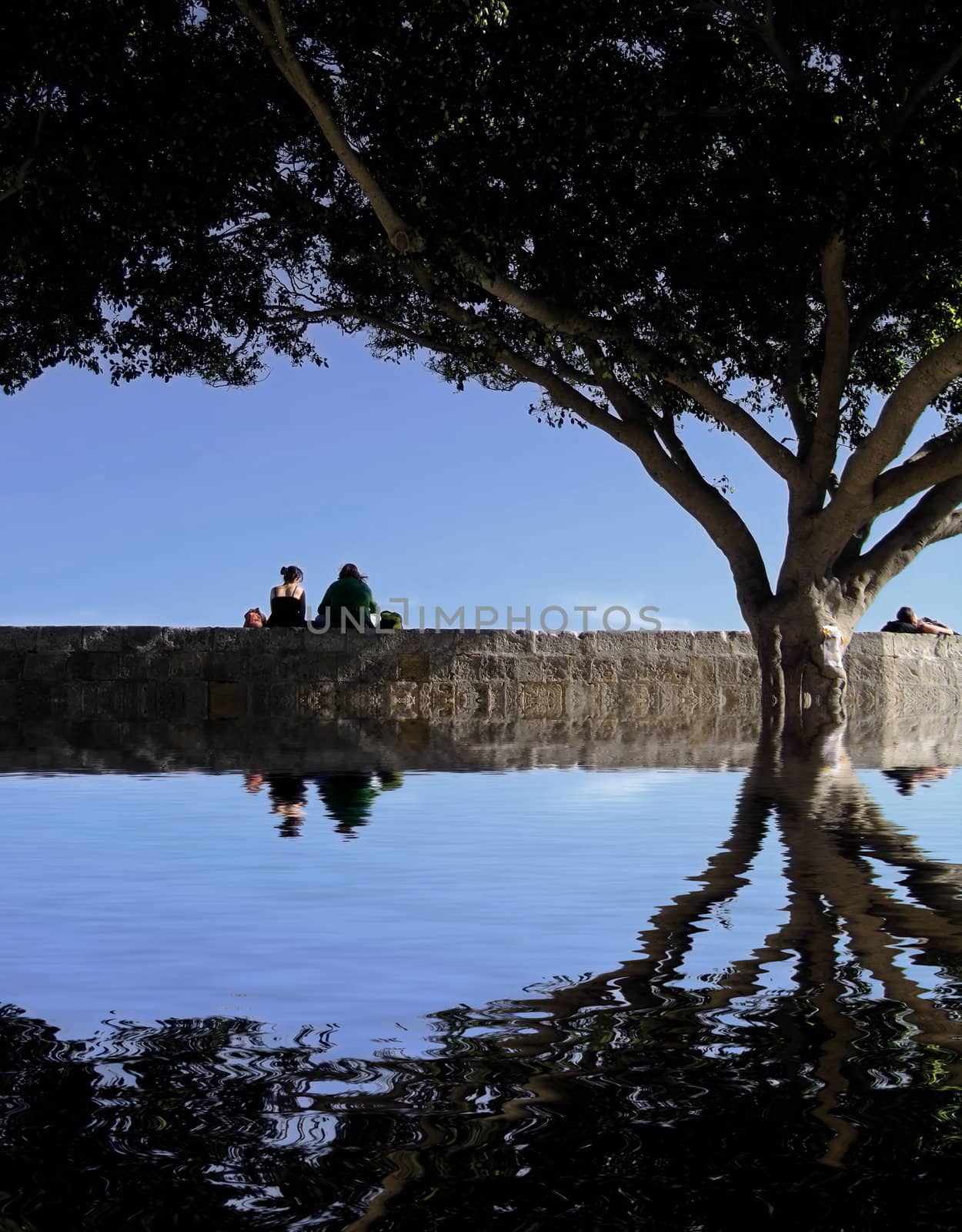 People sitting at the edge of the bastion walls in the city of Mdina in Malta...enjoying the shade provided by these trees