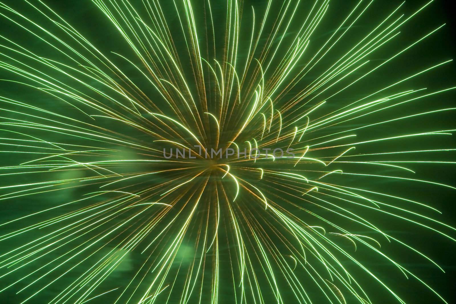 Holiday fireworks on the night sky
