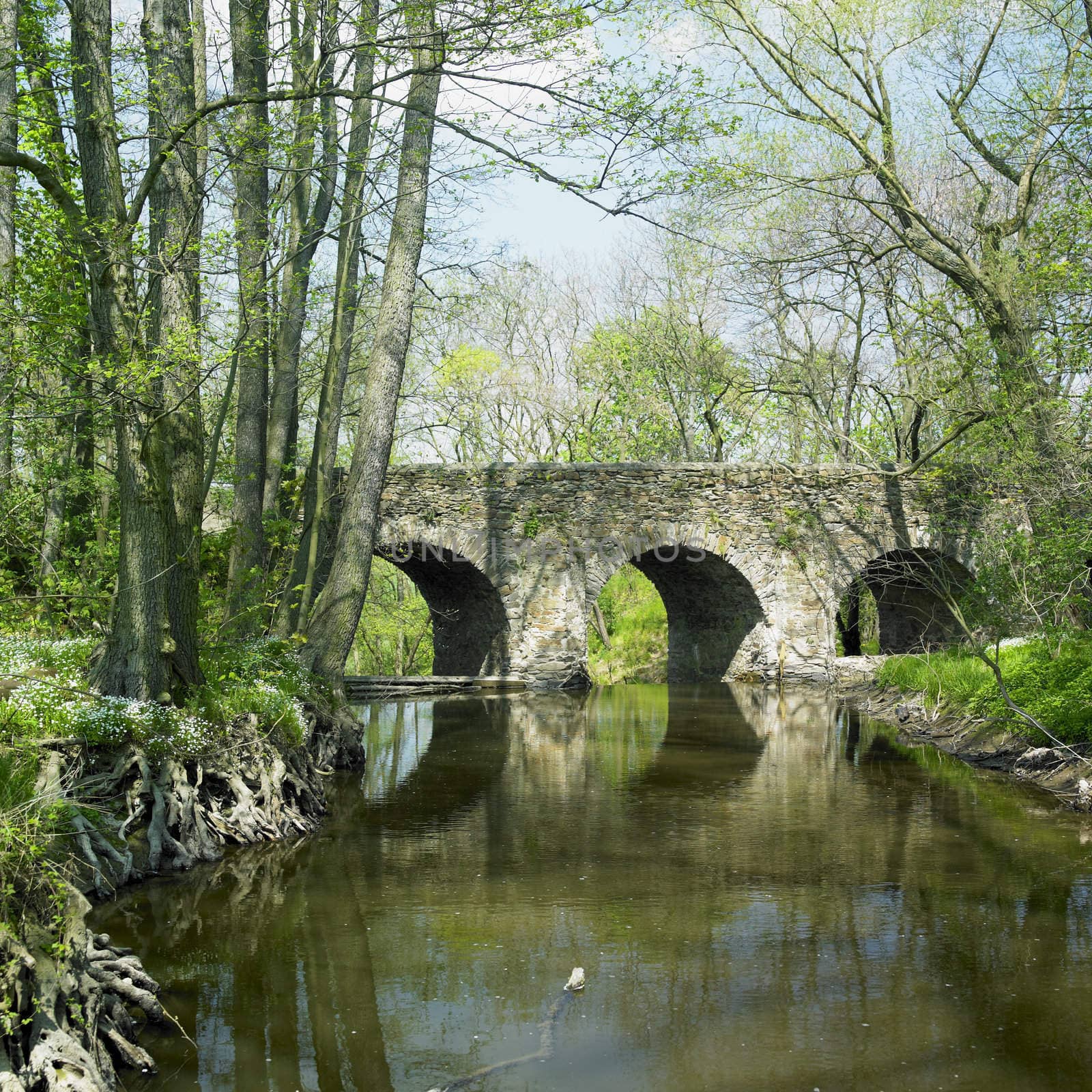 bridge near Tousice, Czech Republic by phbcz