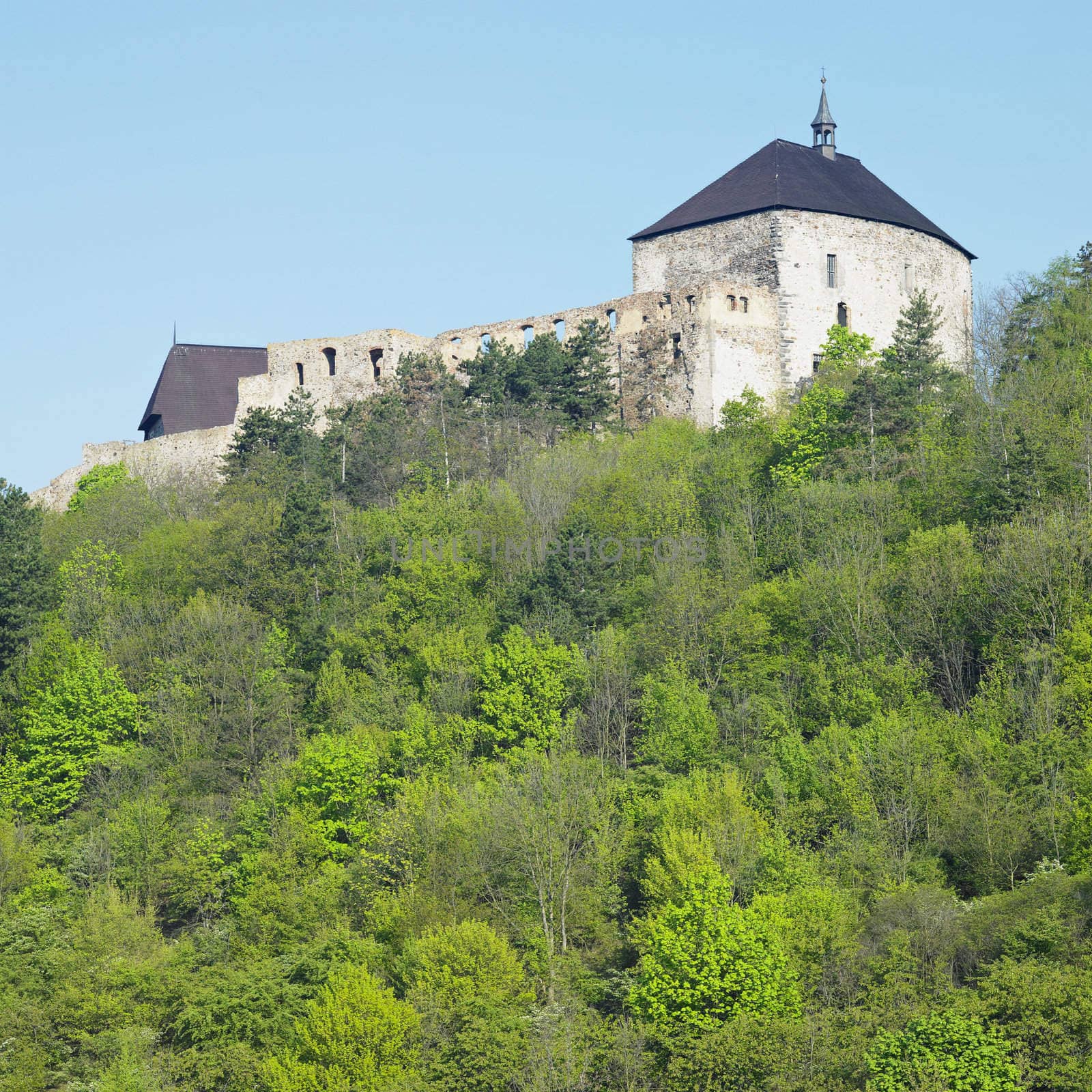 Tocnik castle, Czech Republic by phbcz