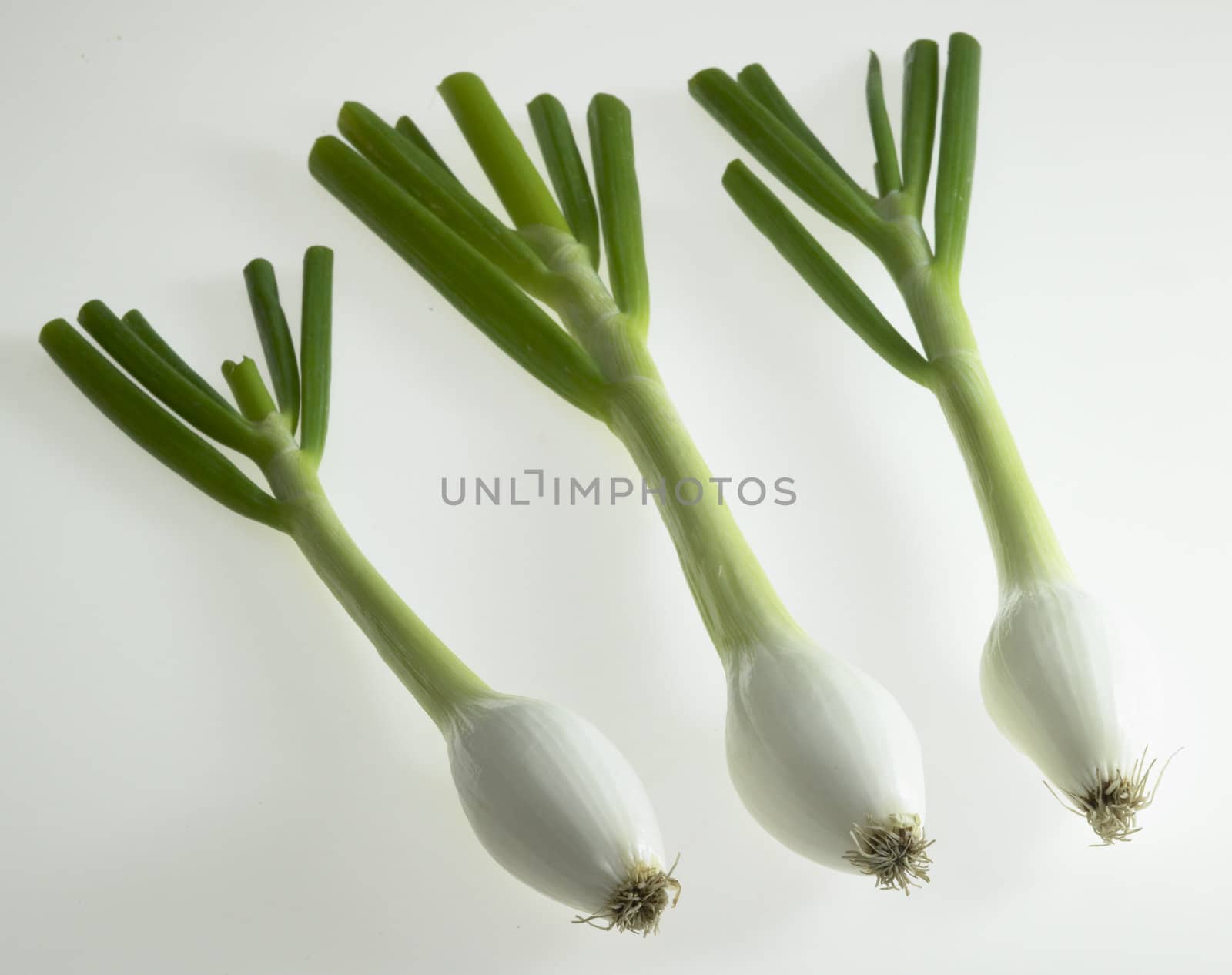 spring onions