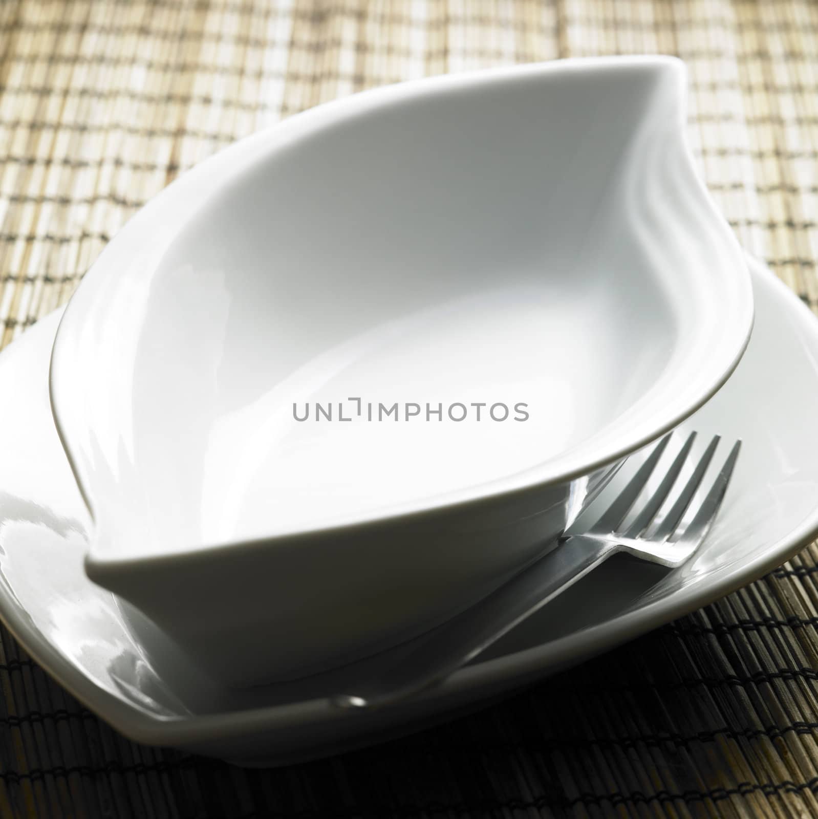 plate with a fork