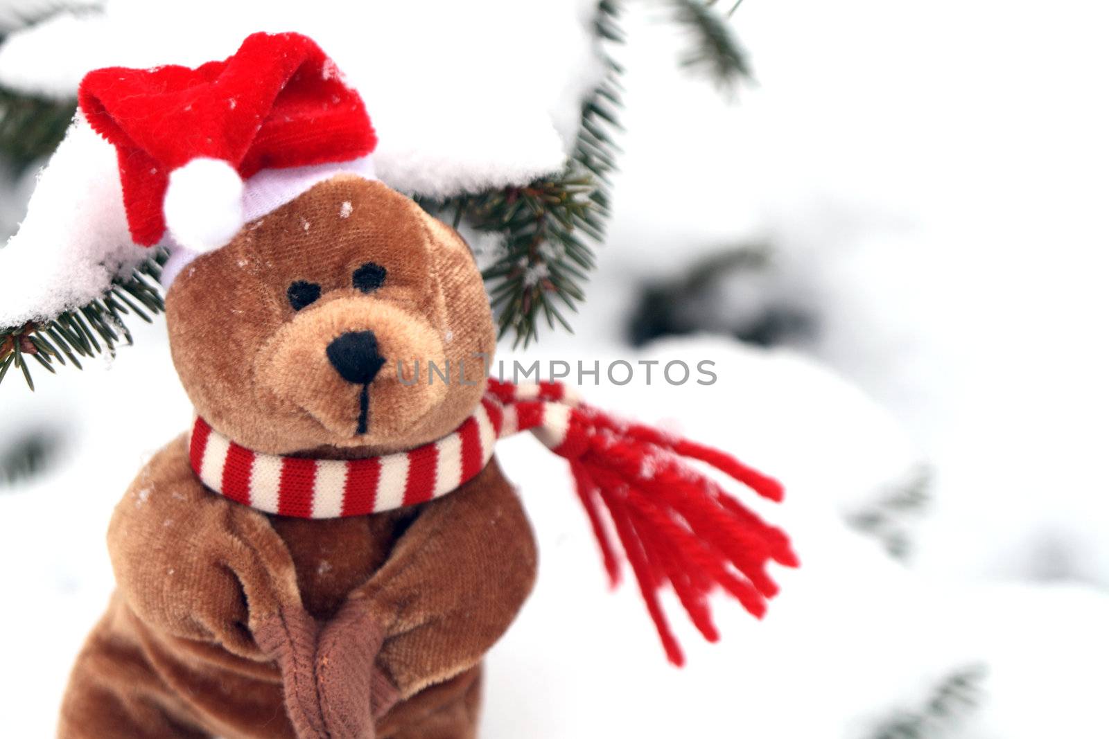 Christmas Teddy Bear isolated on background with snow and firtree