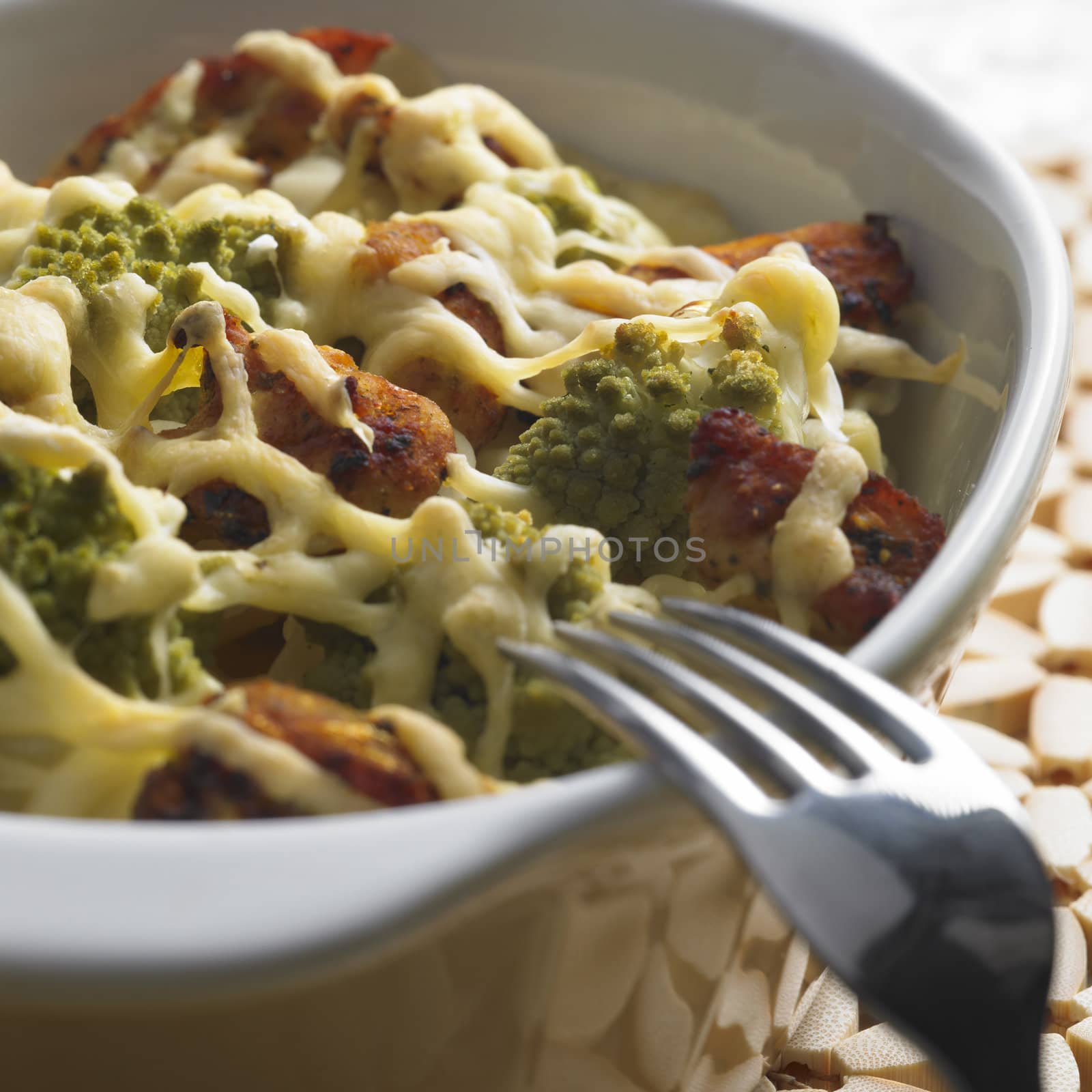 pasta baked with turkey and broccoli