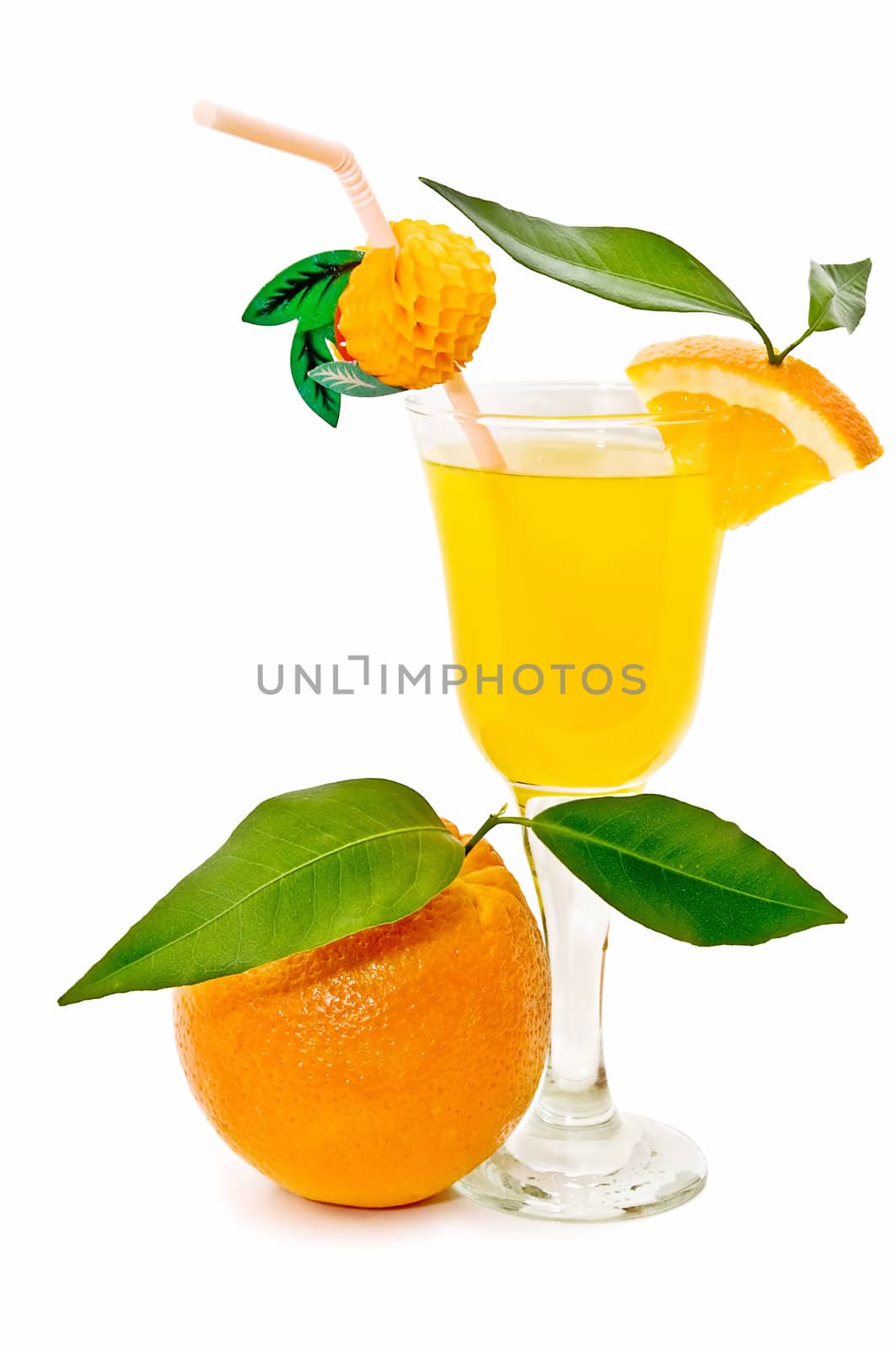 tropical cocktail on the white background
