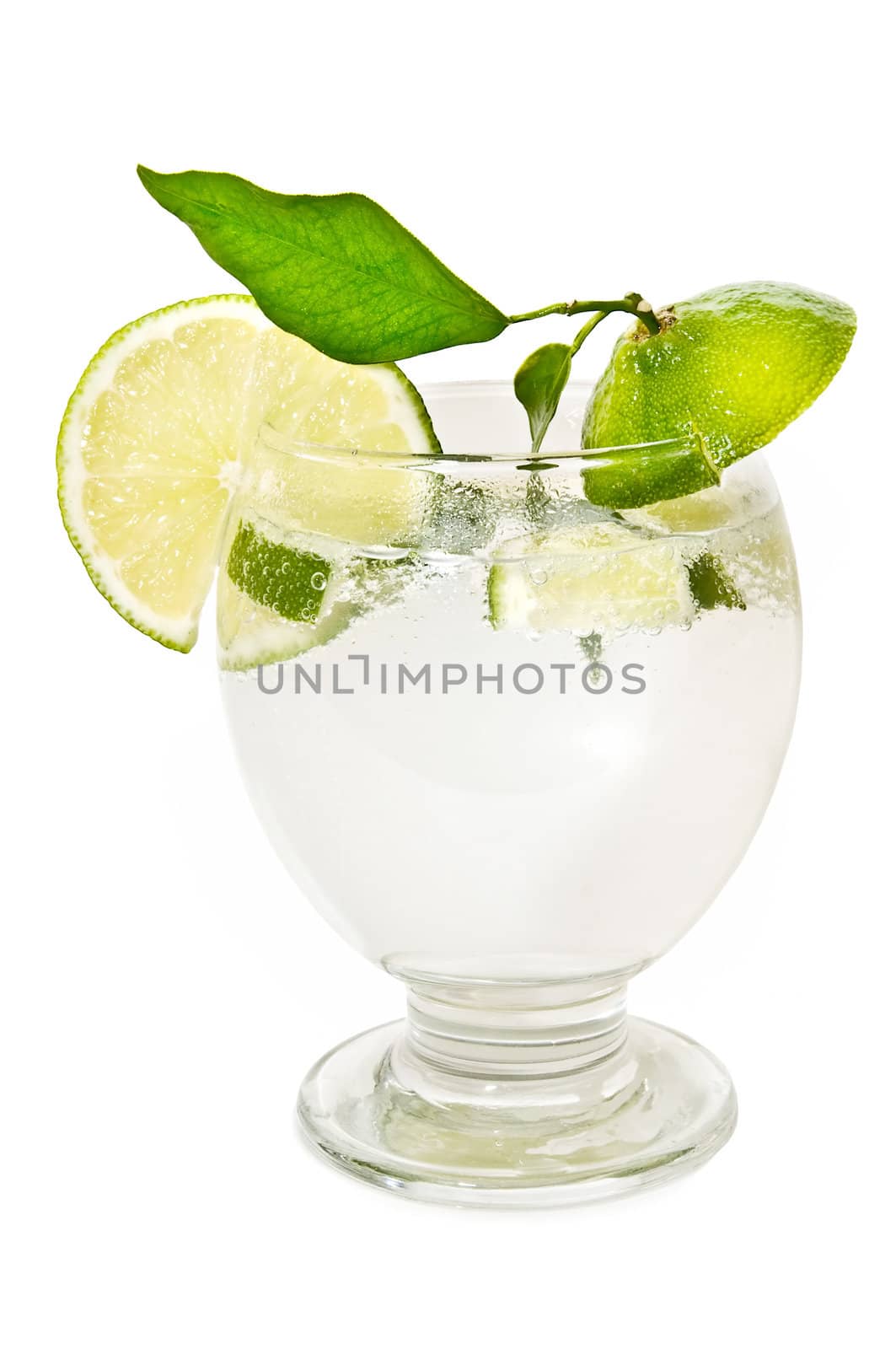 tropical cocktail on the white background
