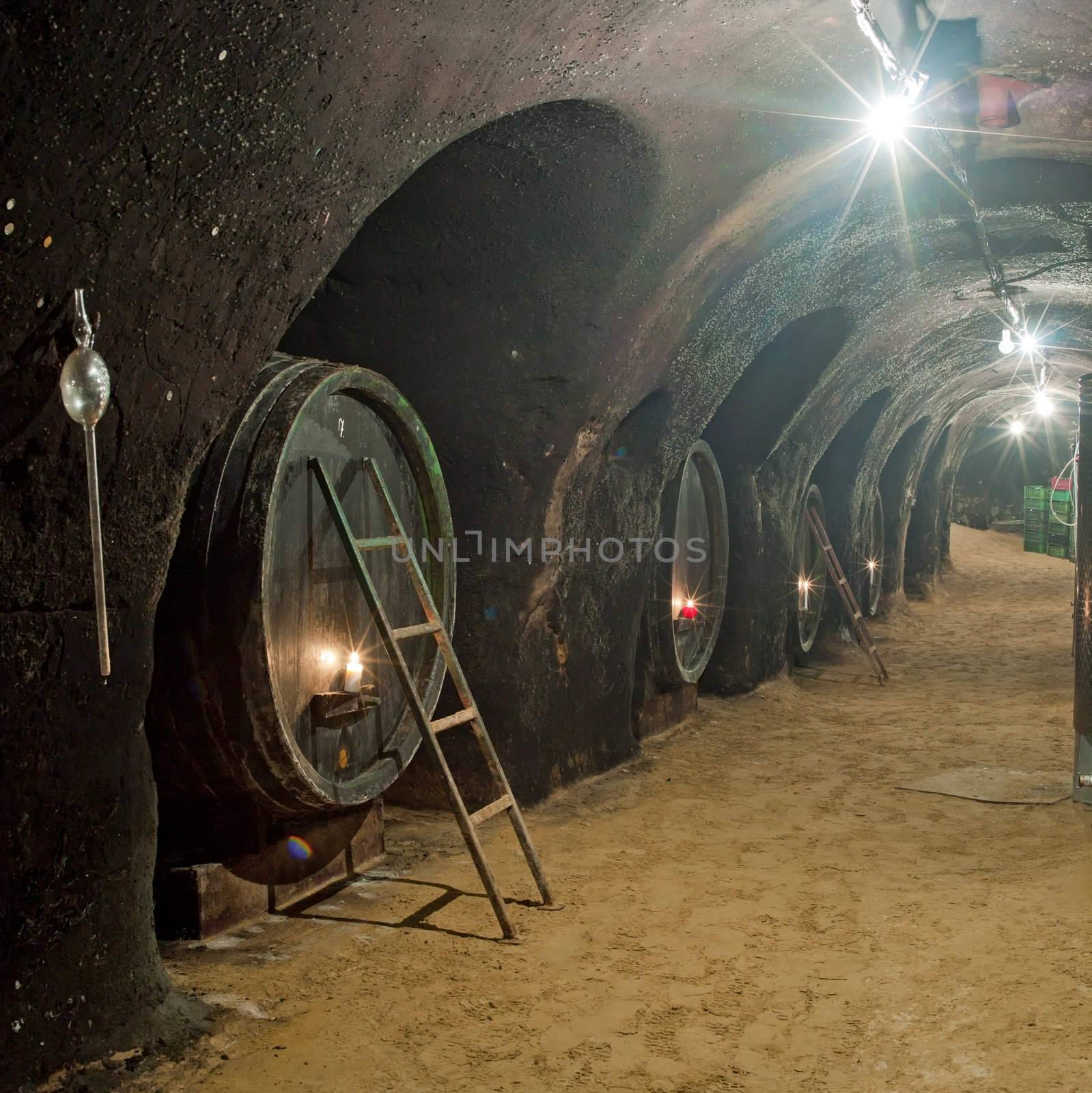 wine cellar, Winery of Oldrich Splichal and Jitka Splichalova, Novy Saldorf, Czech Republic