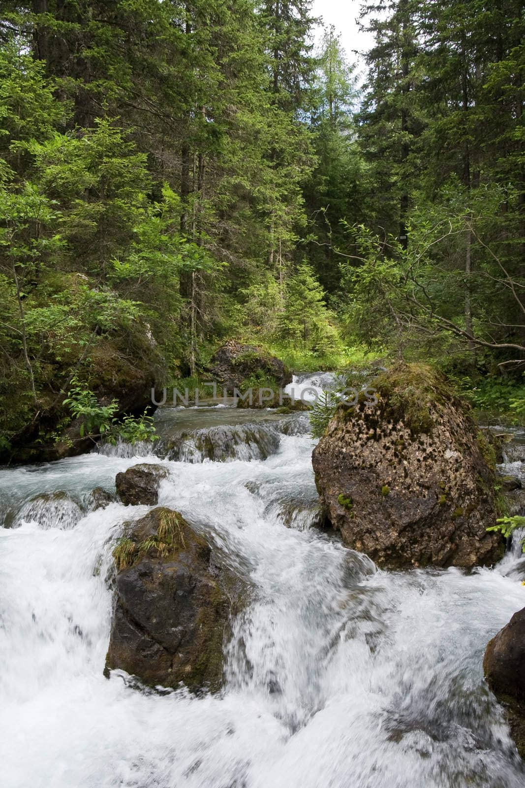 beautiful nature scene with river and waterfall at summer in val di Fassa, italian Dolomites