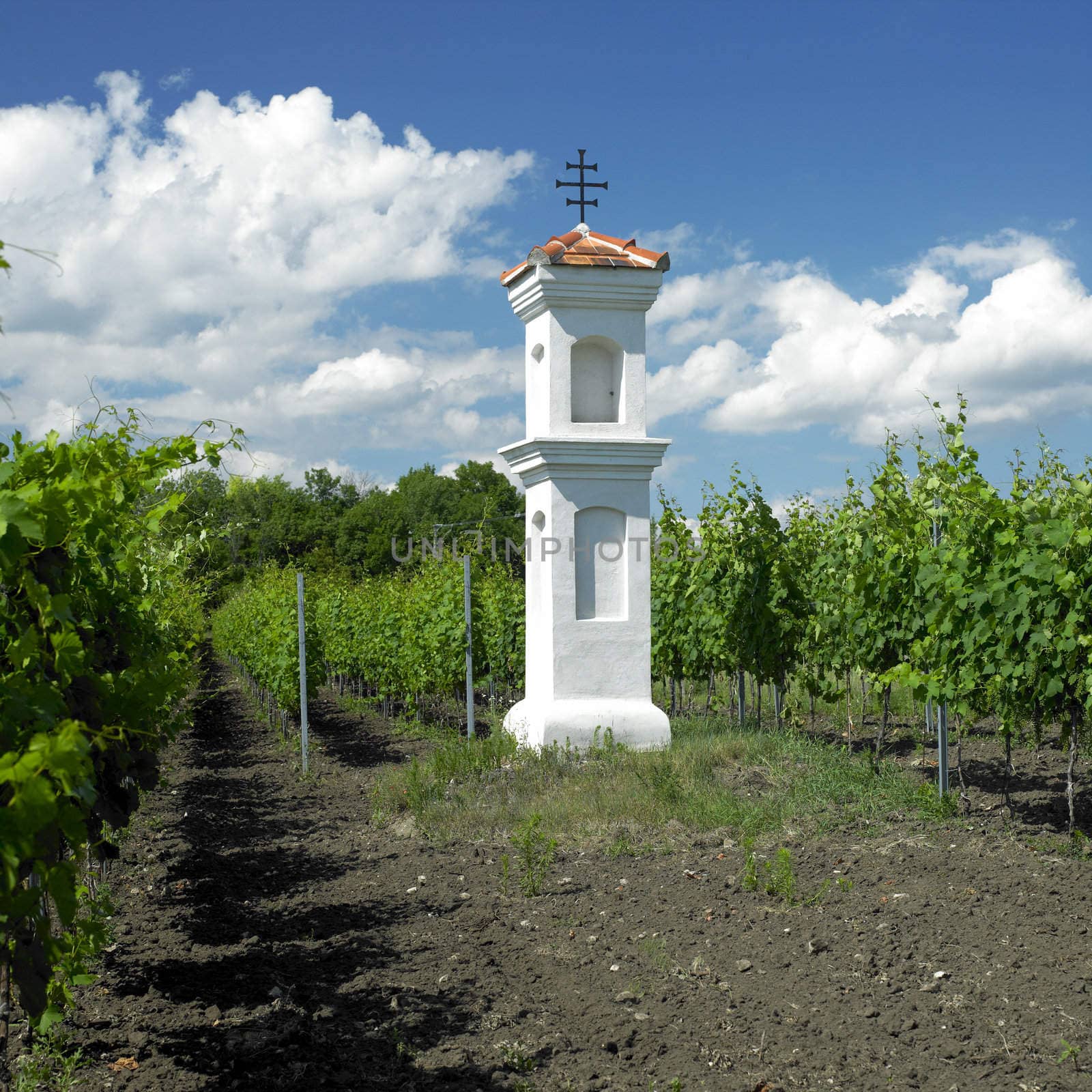 village chapel with wineyard near Perna, Czech Republic by phbcz