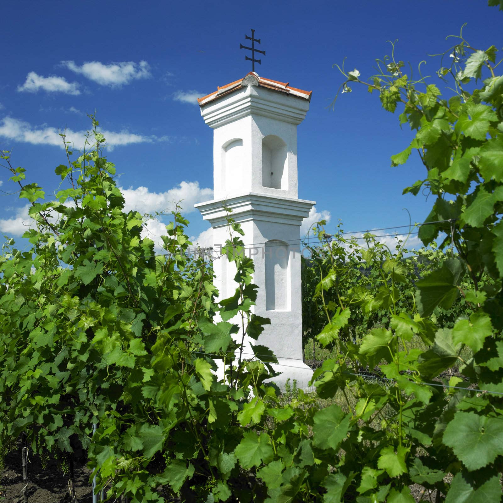 village chapel with wineyard near Perna, Czech Republic